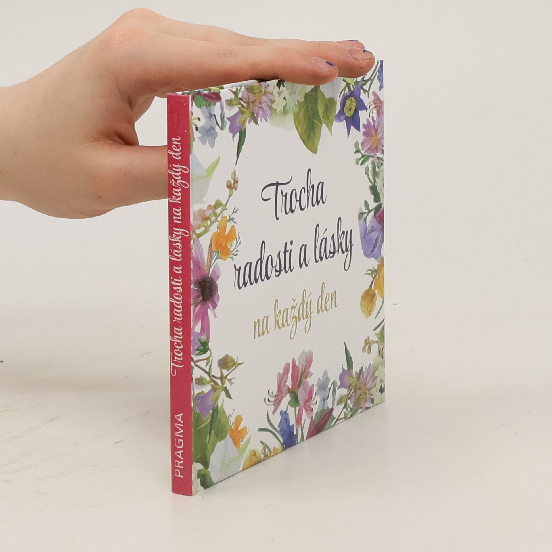 Autores varios Trocha radosti a lásky na každý den
