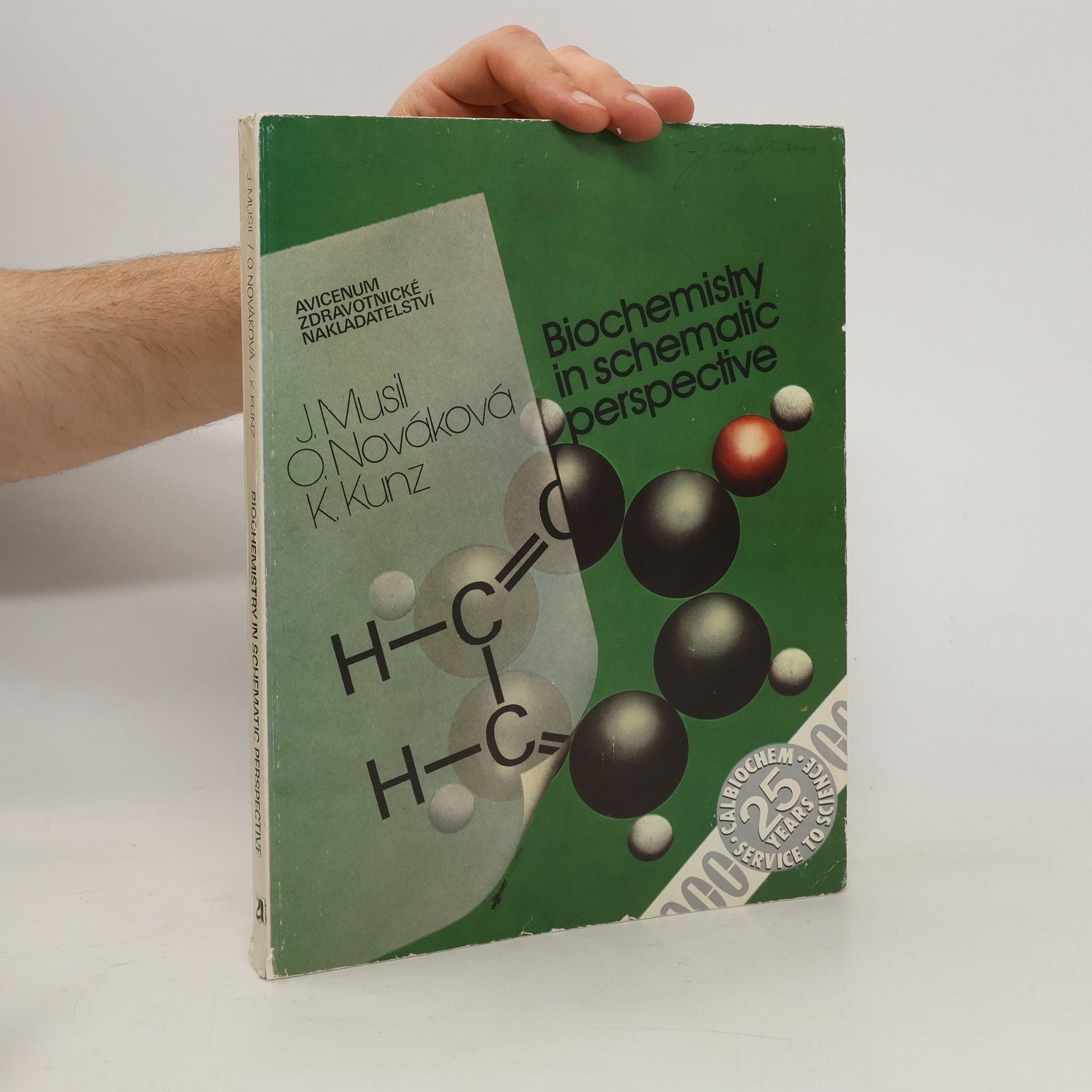 Autorenkollektiv Biochemistry in Schematic Perspective