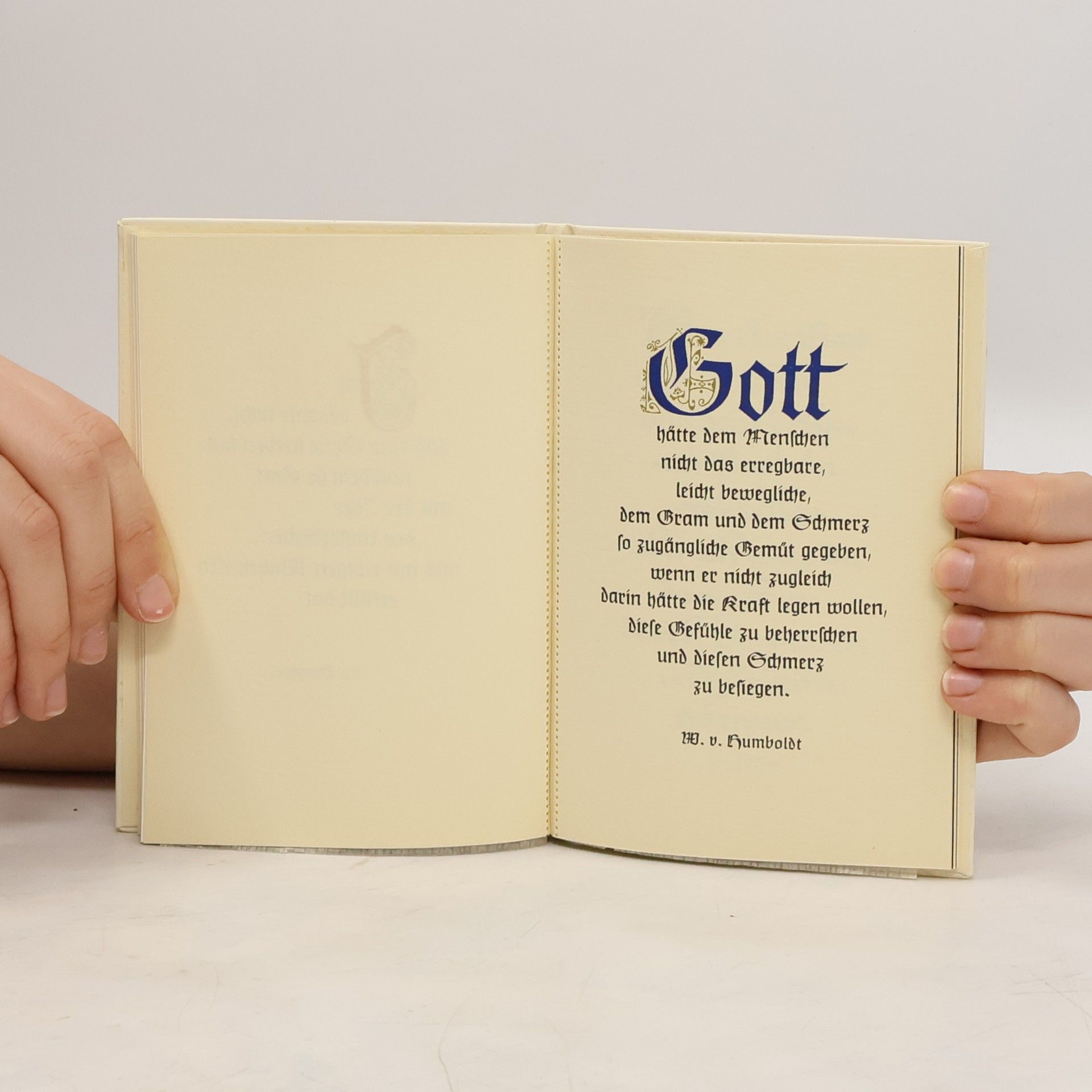 Autorenkollektiv Lebensluft in Malerei und Dichtung