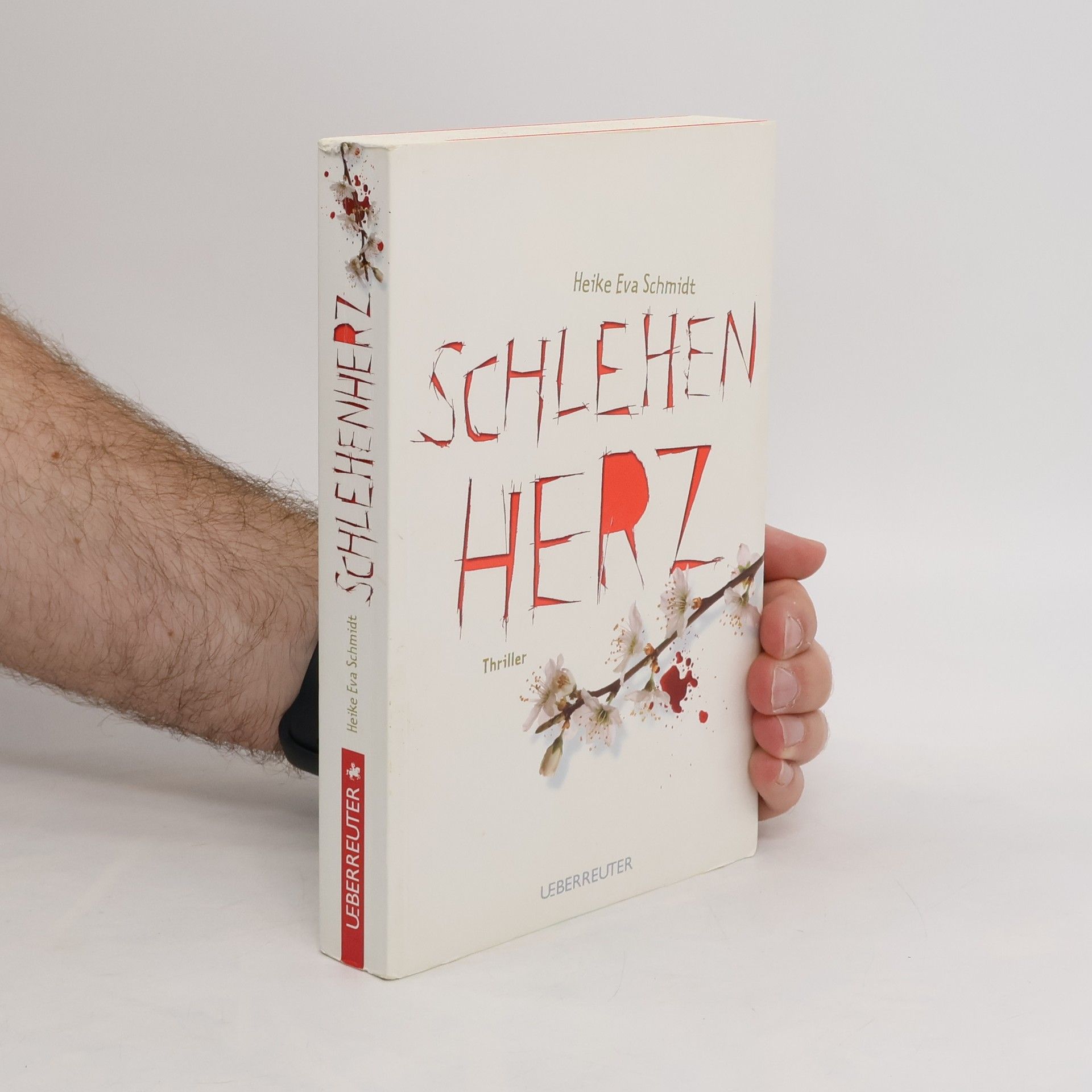 Heike Eva Schmidt Schlehenherz