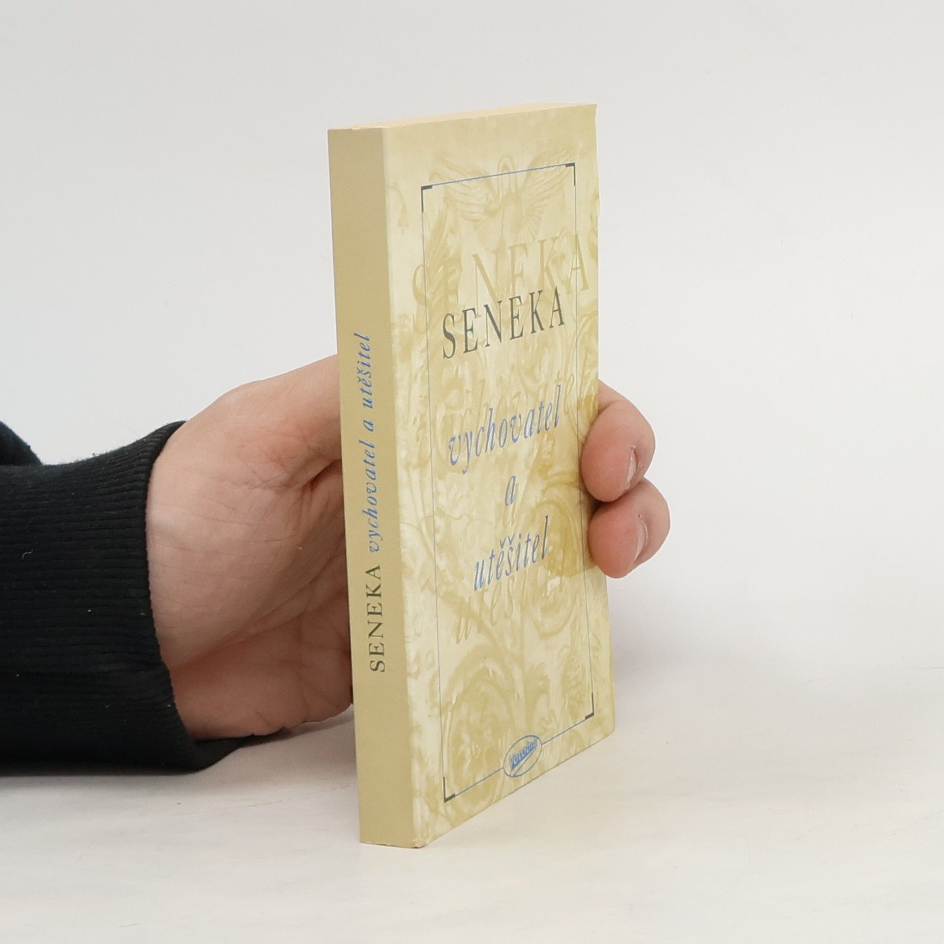 Lucius Annaeus Seneca Vychovatel a utěšitel