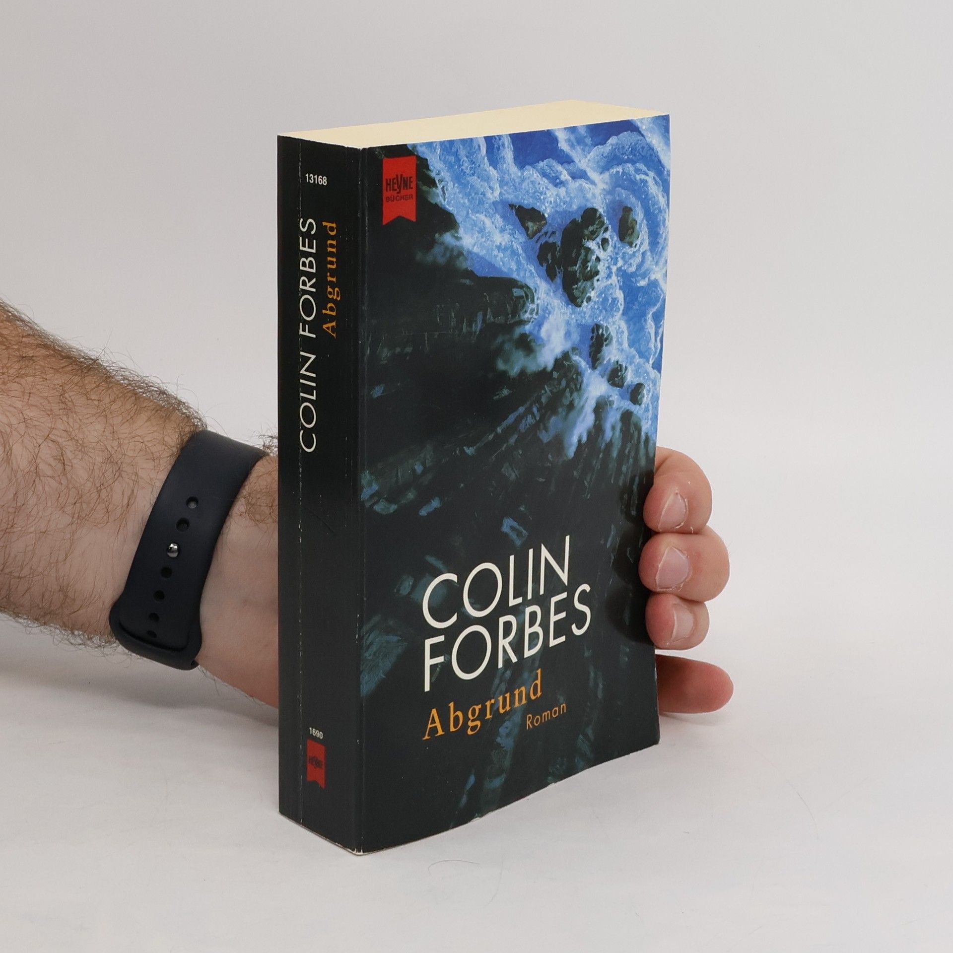 Colin Forbes Abgrund