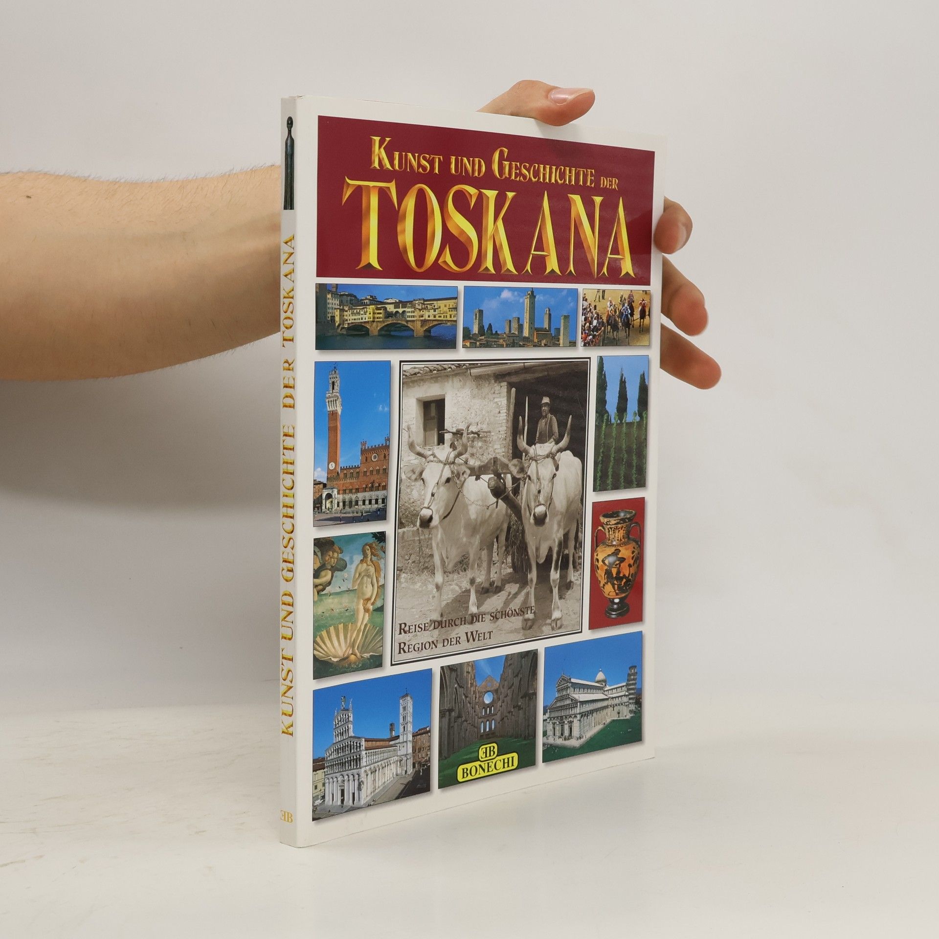 Autorenkollektiv Kunst und Geschichte der Toskana