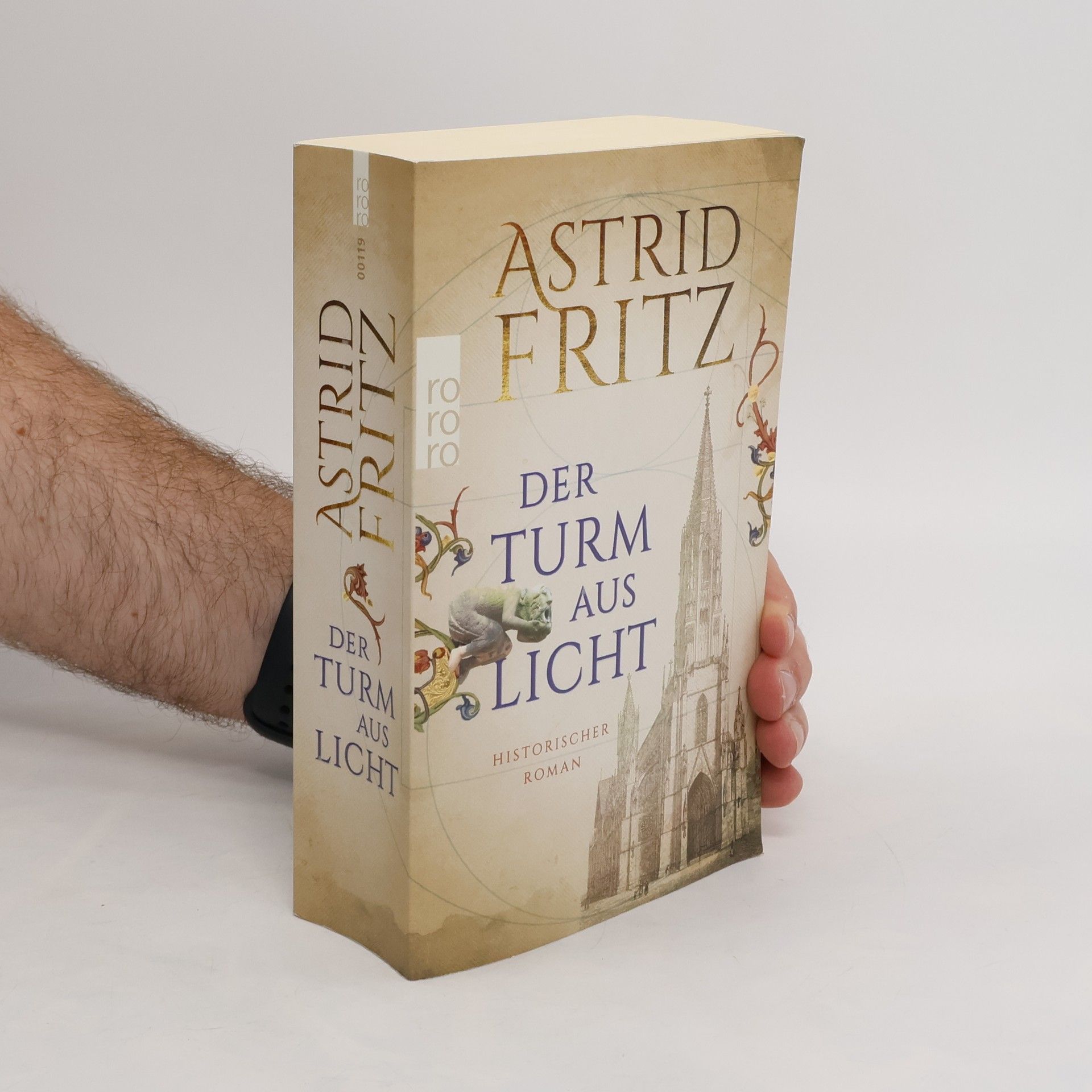 Astrid Fritz Der Turm aus Licht