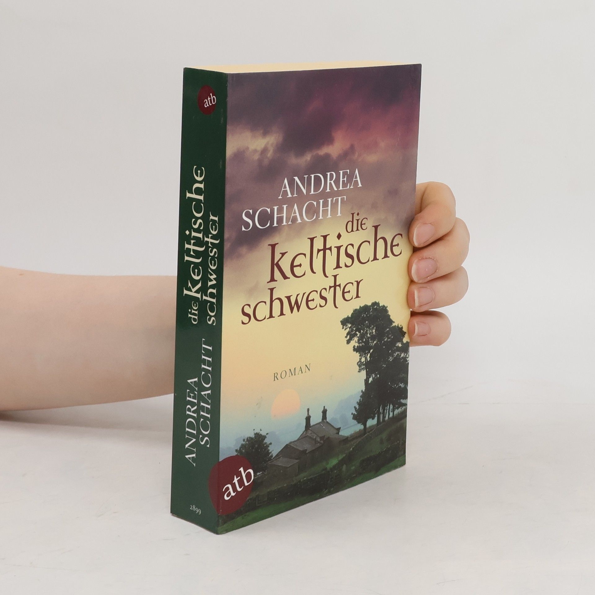 Andrea Schacht Die keltische Schwester