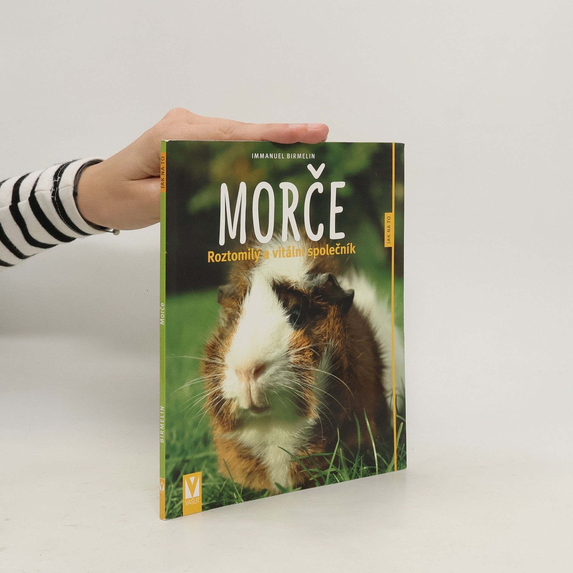 Immanuel Birmelin Morče. Roztomilý a vitální společník