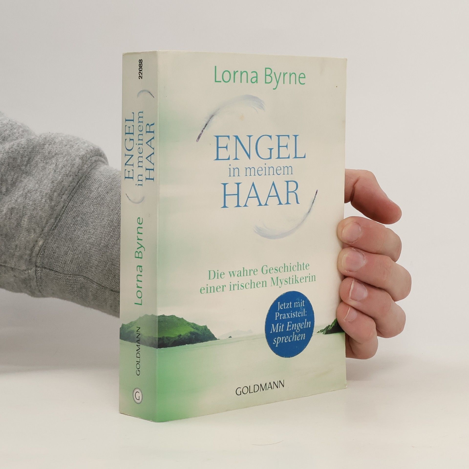 Lorna Byrne Engel in meinem Haar
