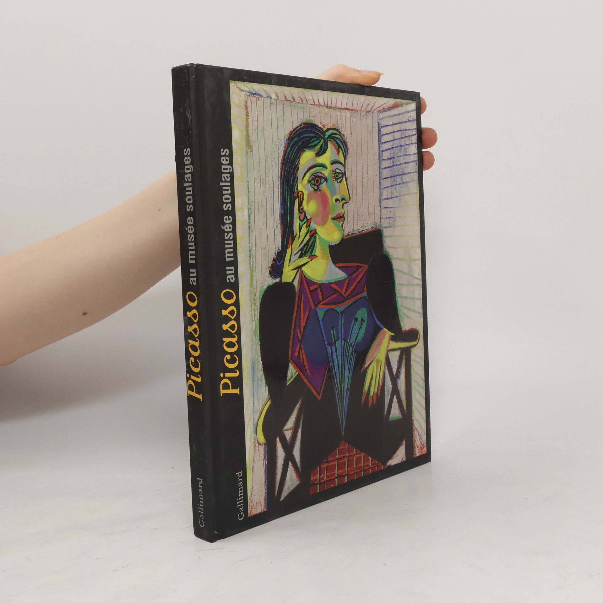 kolektiv Picasso au musée Soulages