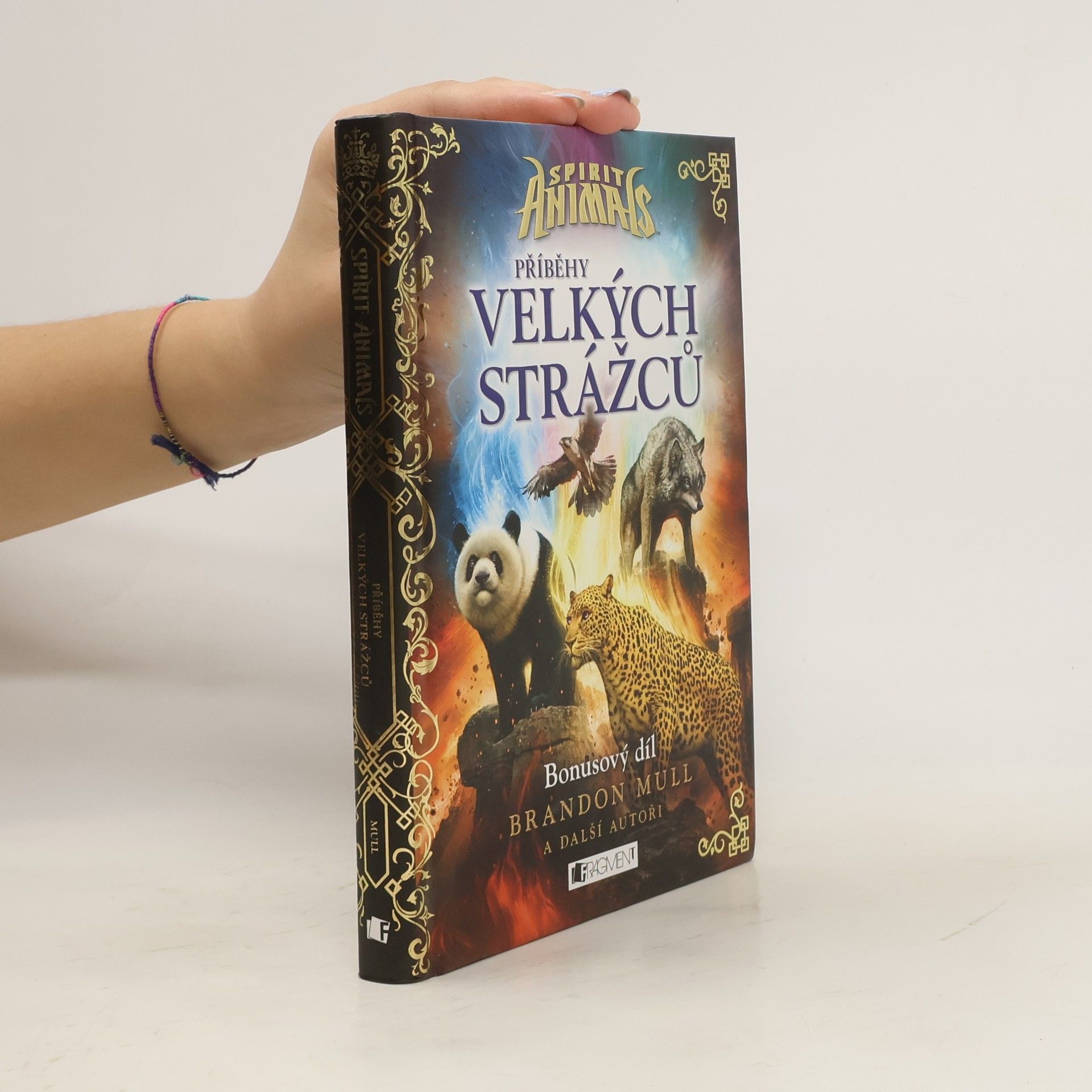 Brandon Mull Příběhy Velkých strážců