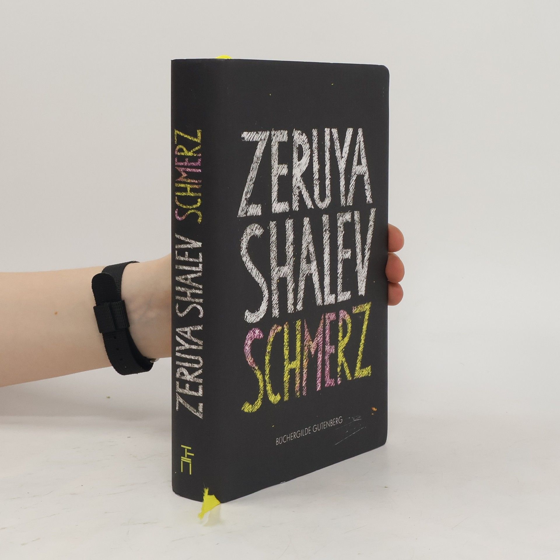 Zeruya Shalev Schmerz