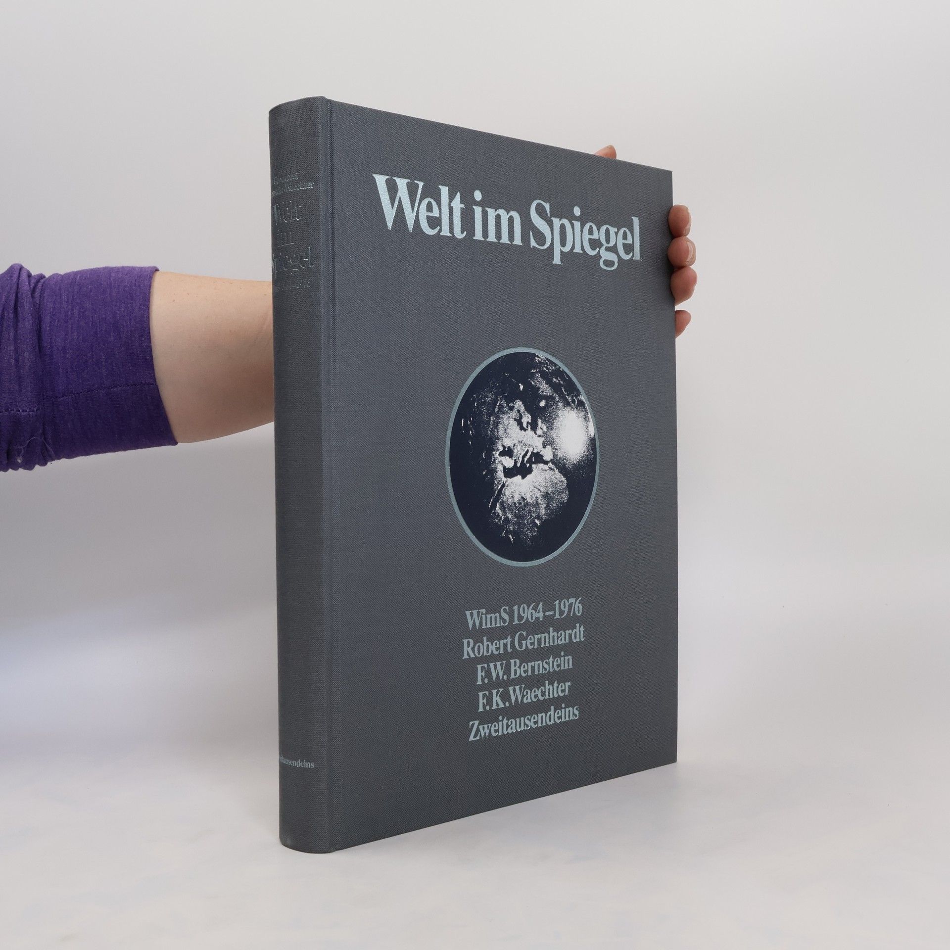 F. W. Bernstein Welt im Spiegel