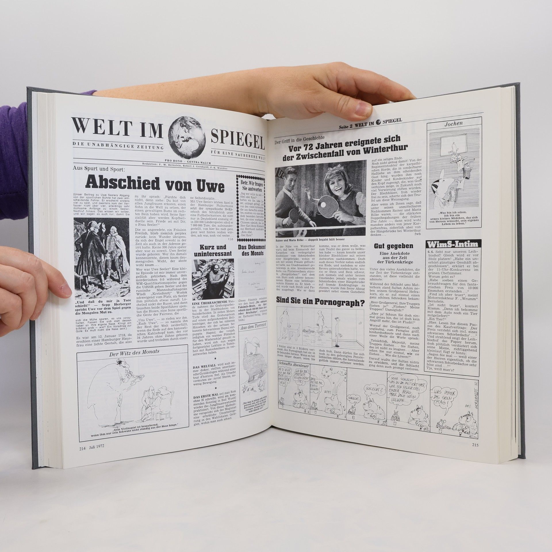 F. W. Bernstein Welt im Spiegel