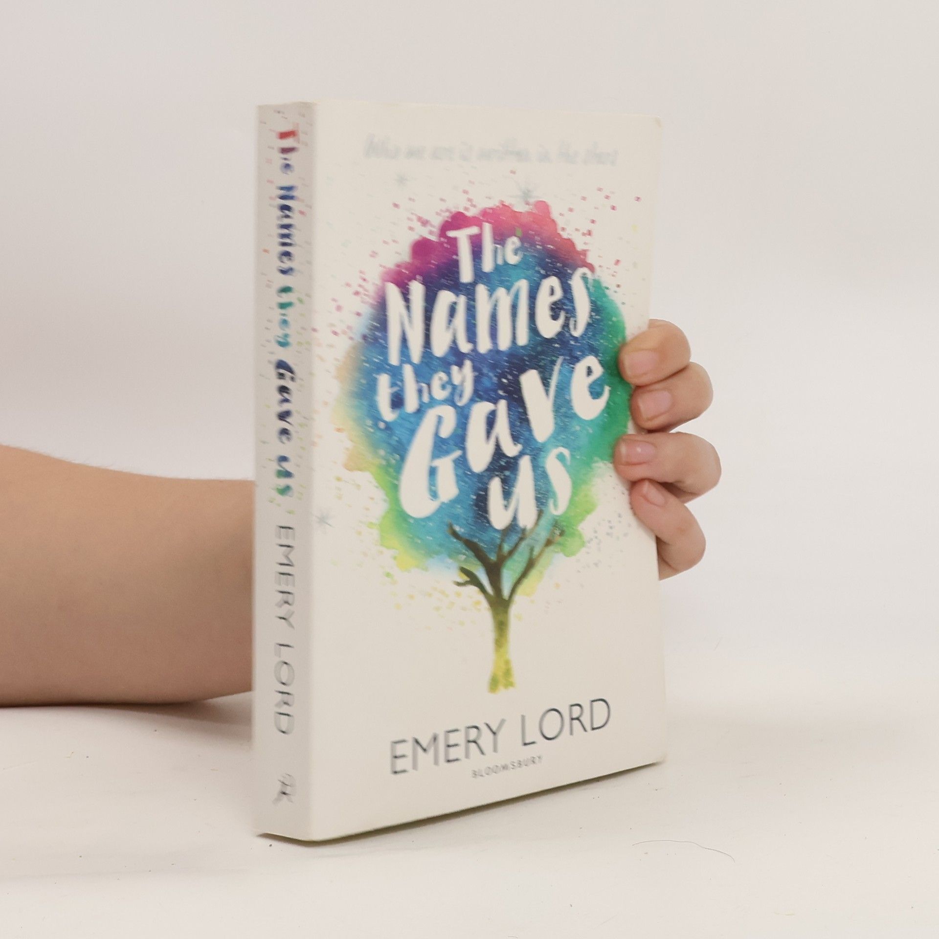 Emery Lord The name they gave us