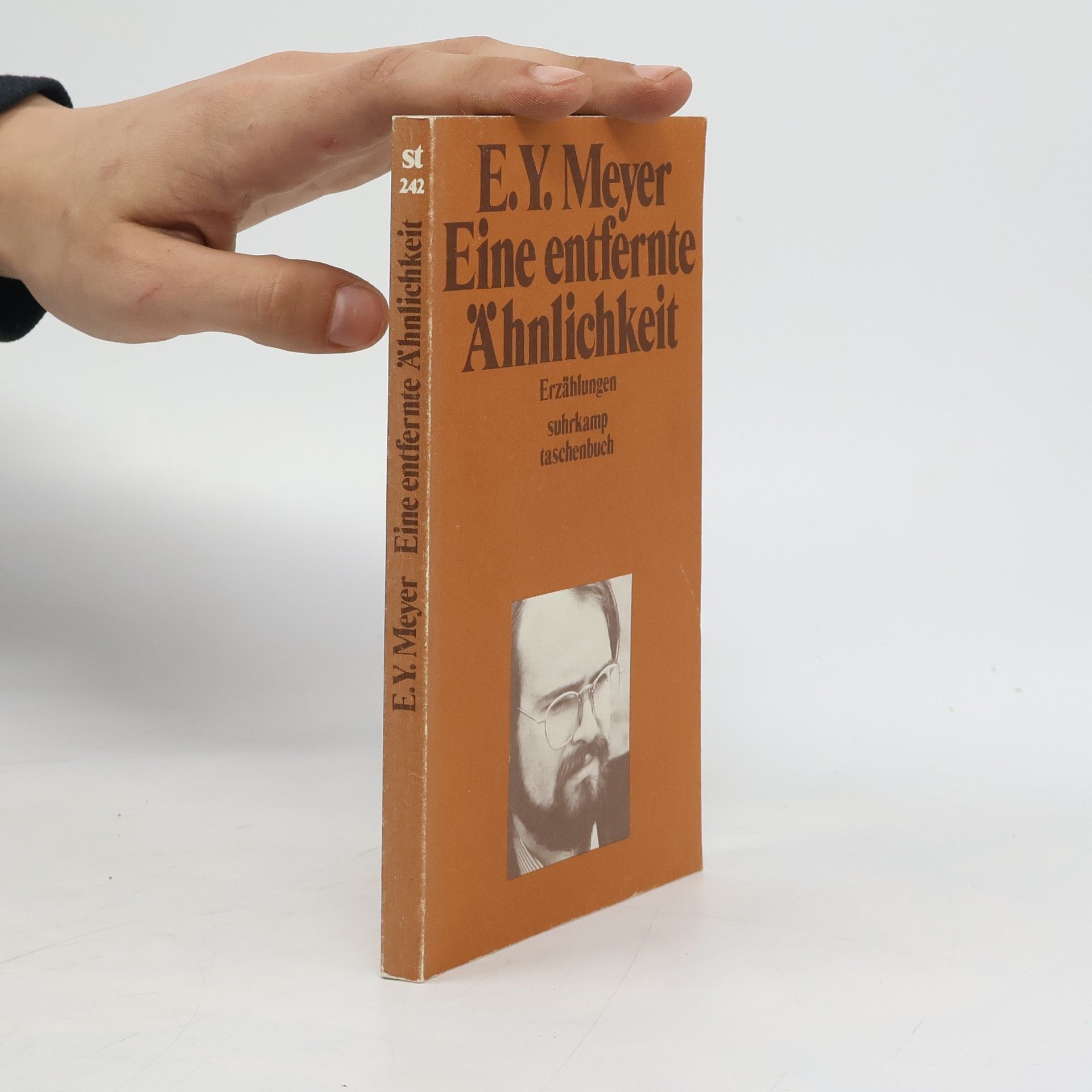 E. Y. Meyer Eine entfernte Ähnlichkeit. Erzählungen