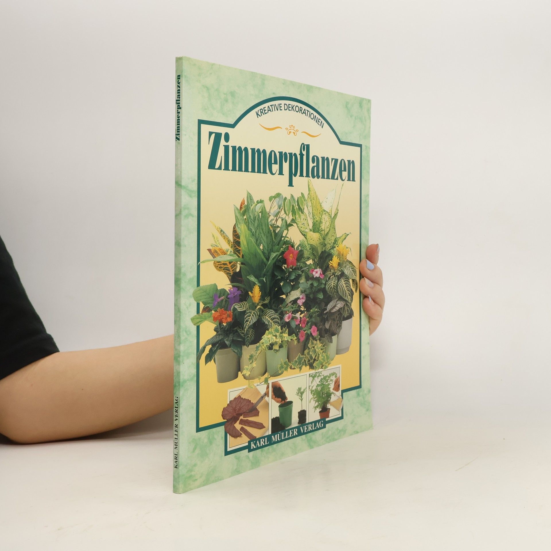 Autorenkollektiv Zimmerpflanzen