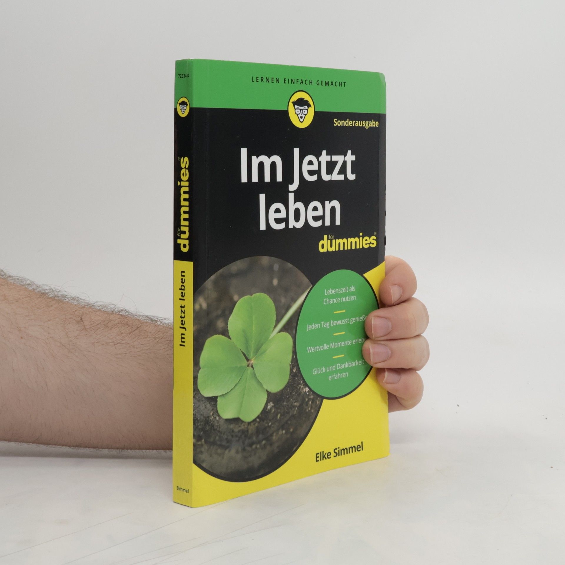 Elke Simmel Im Jetzt leben für Dummies