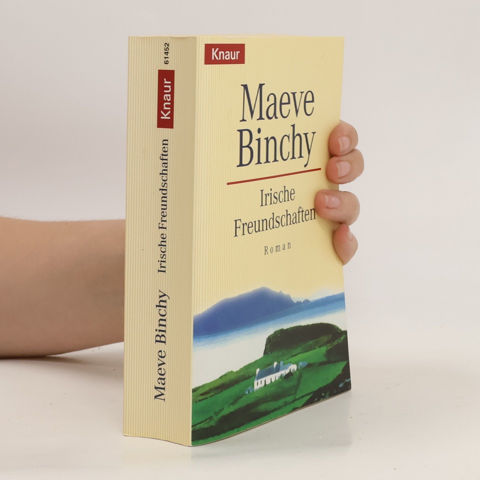 Maeve Binchy Irische Freundschaften