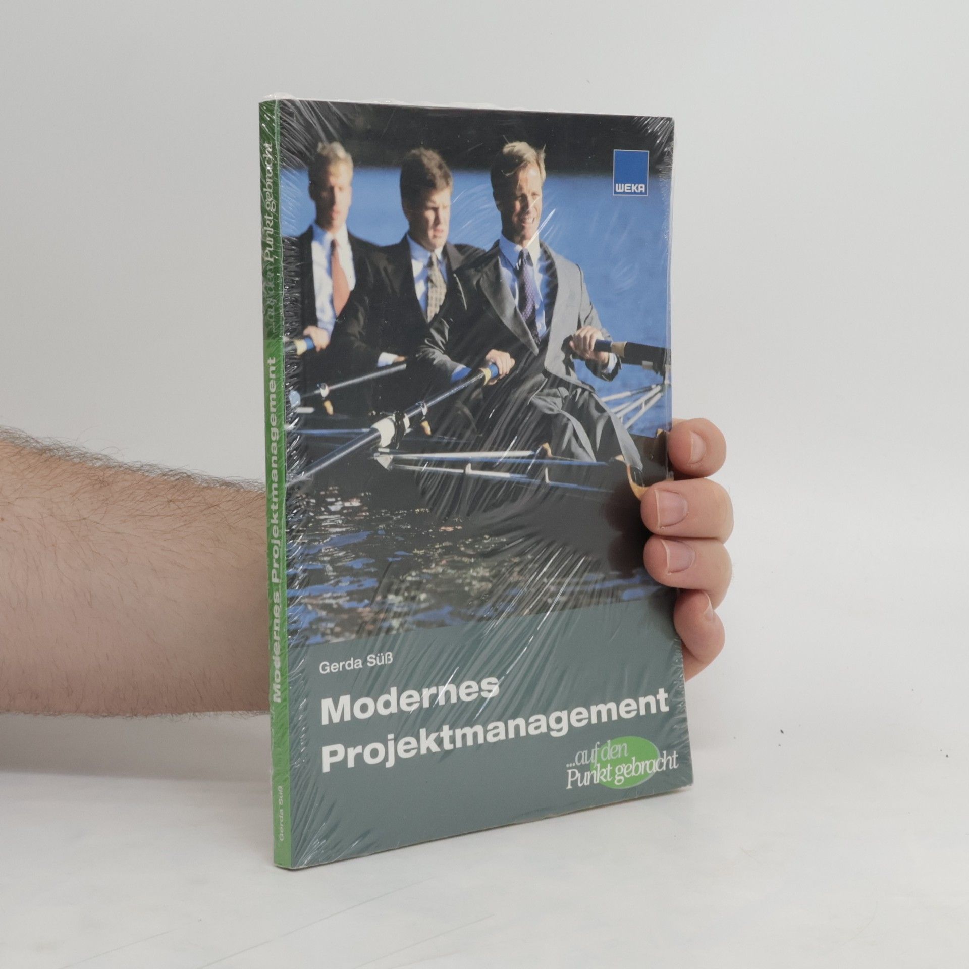 Gerda Su ß. Modernes Projektmanagement