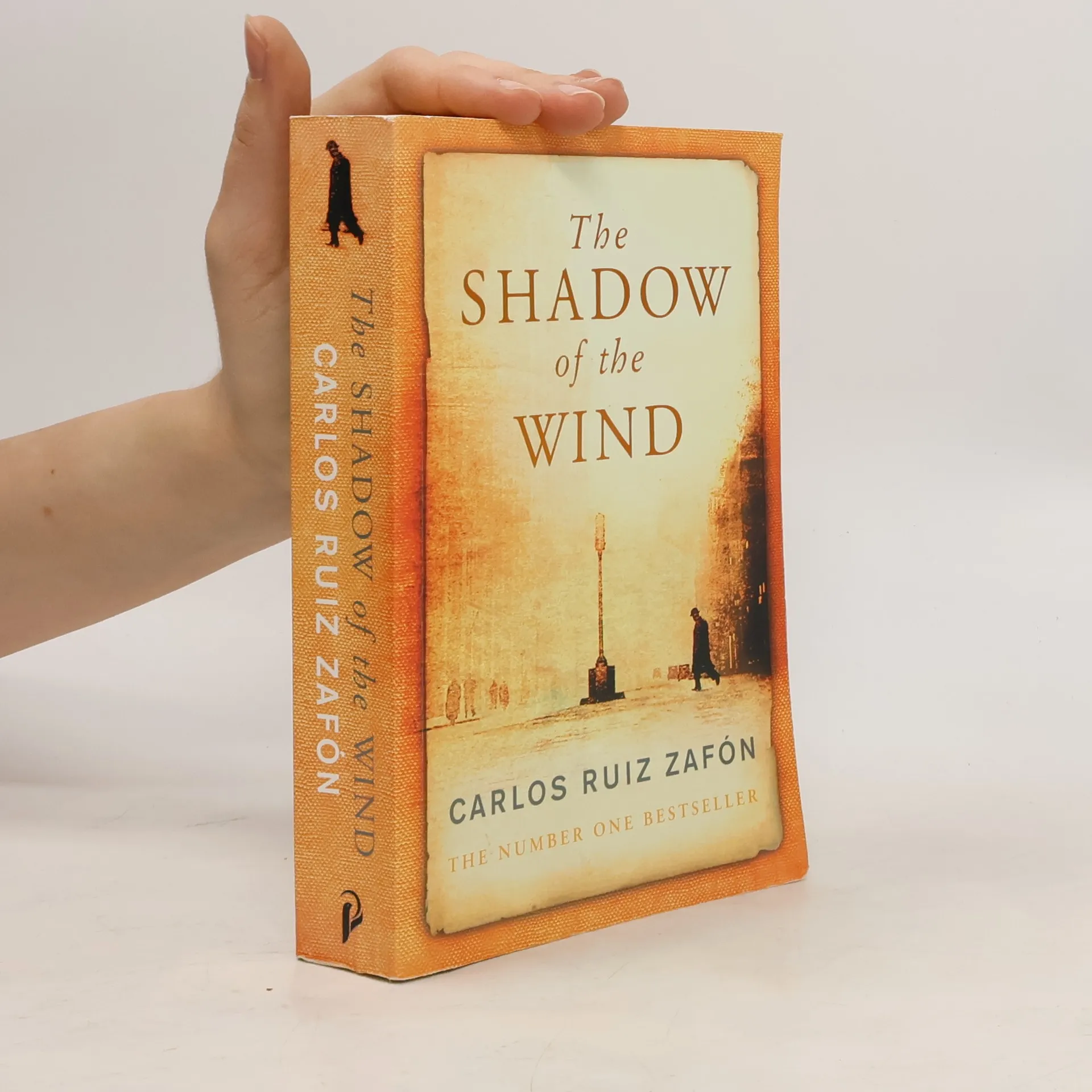 The Shadow of The Wind | Book | Lucia Graves | EN