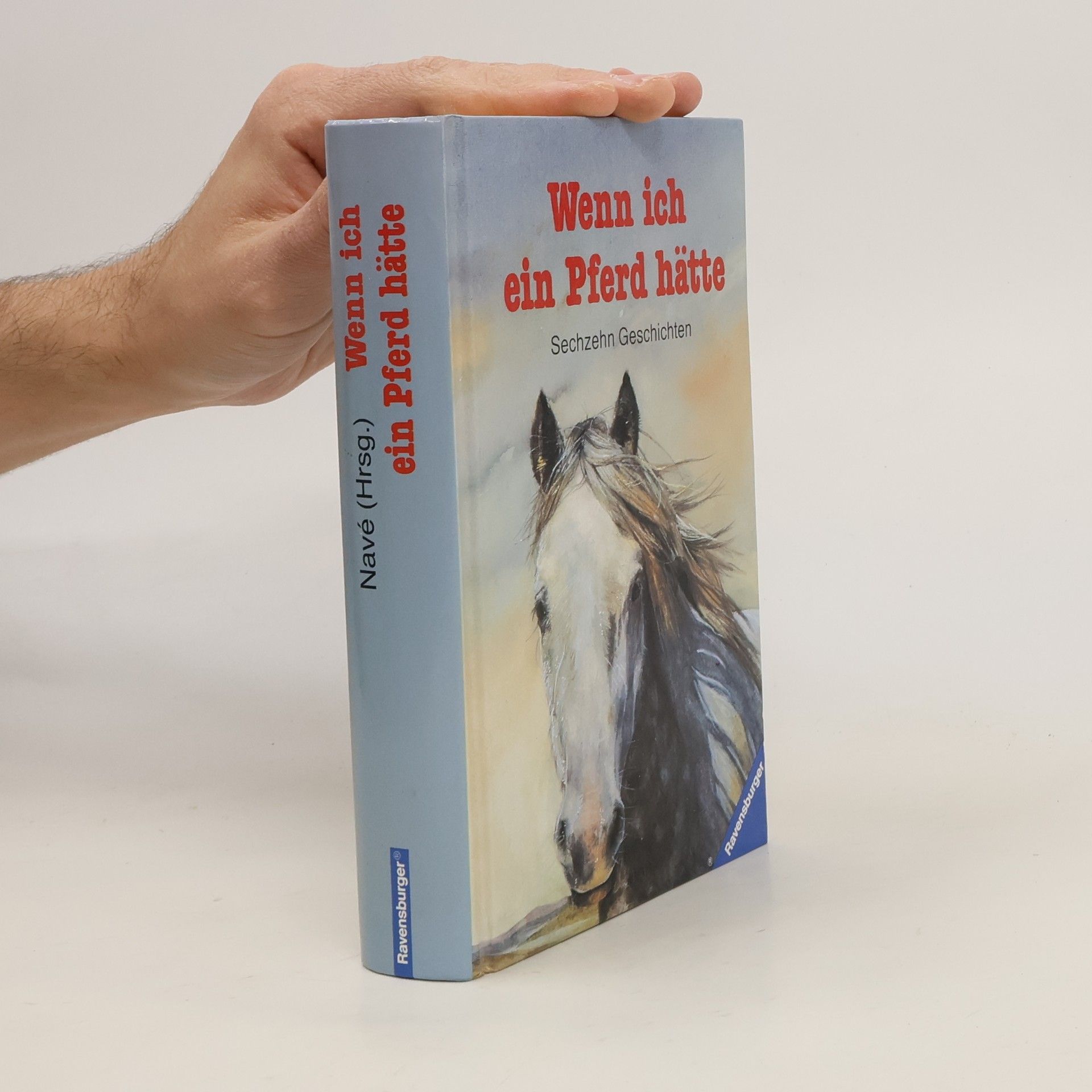Renate Navé Wenn ich ein Pferd hätte