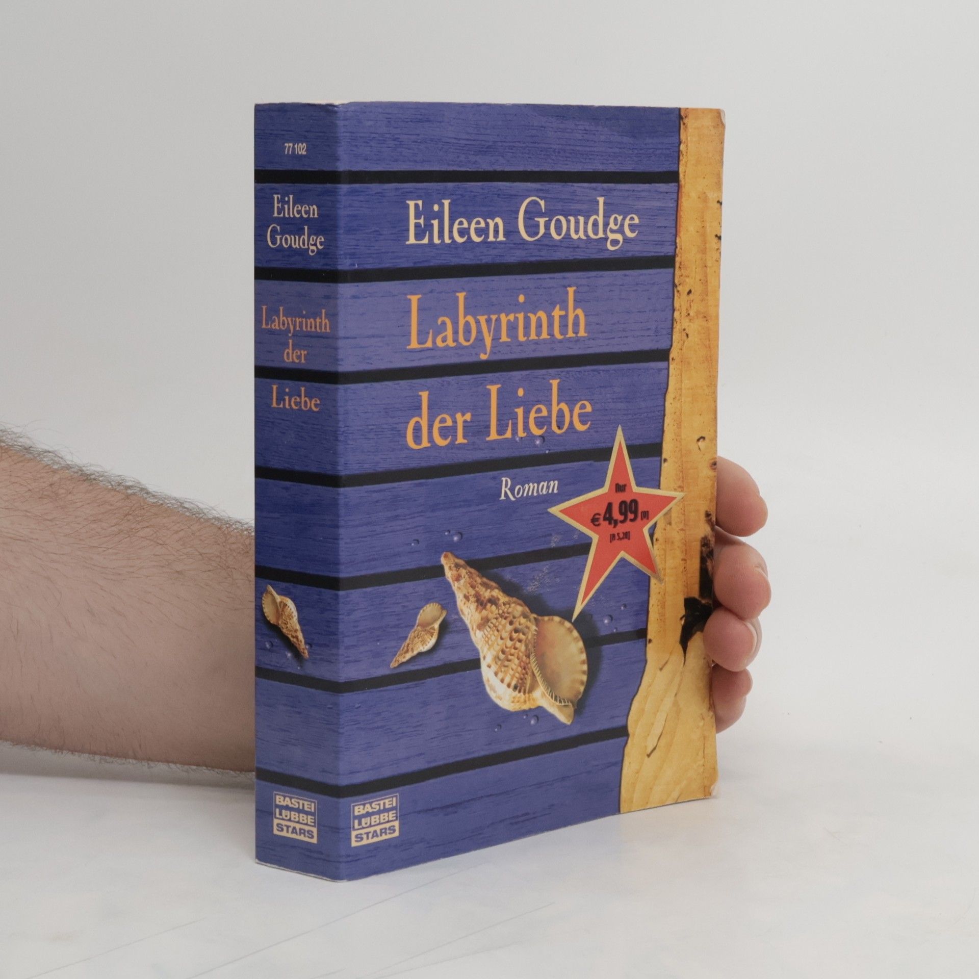 Eileen Goudge Labyrinth der Liebe. Roman