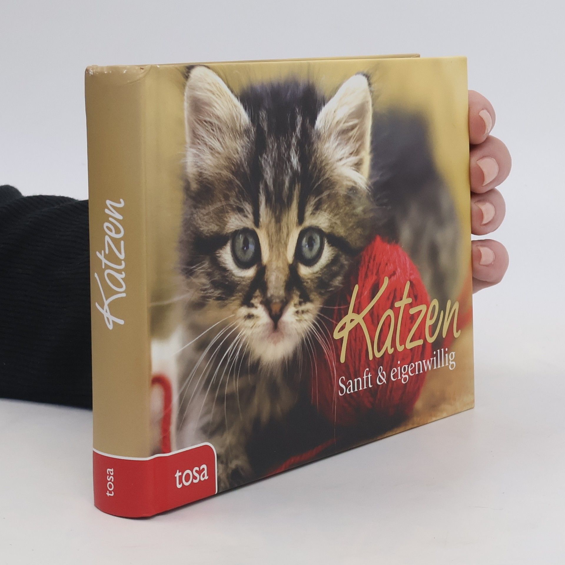 kolektiv Katzen