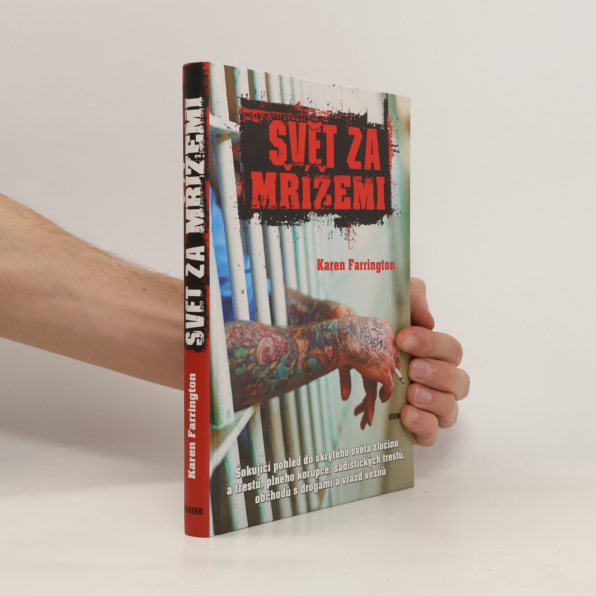 Karen Farrington Svět za mřížemi