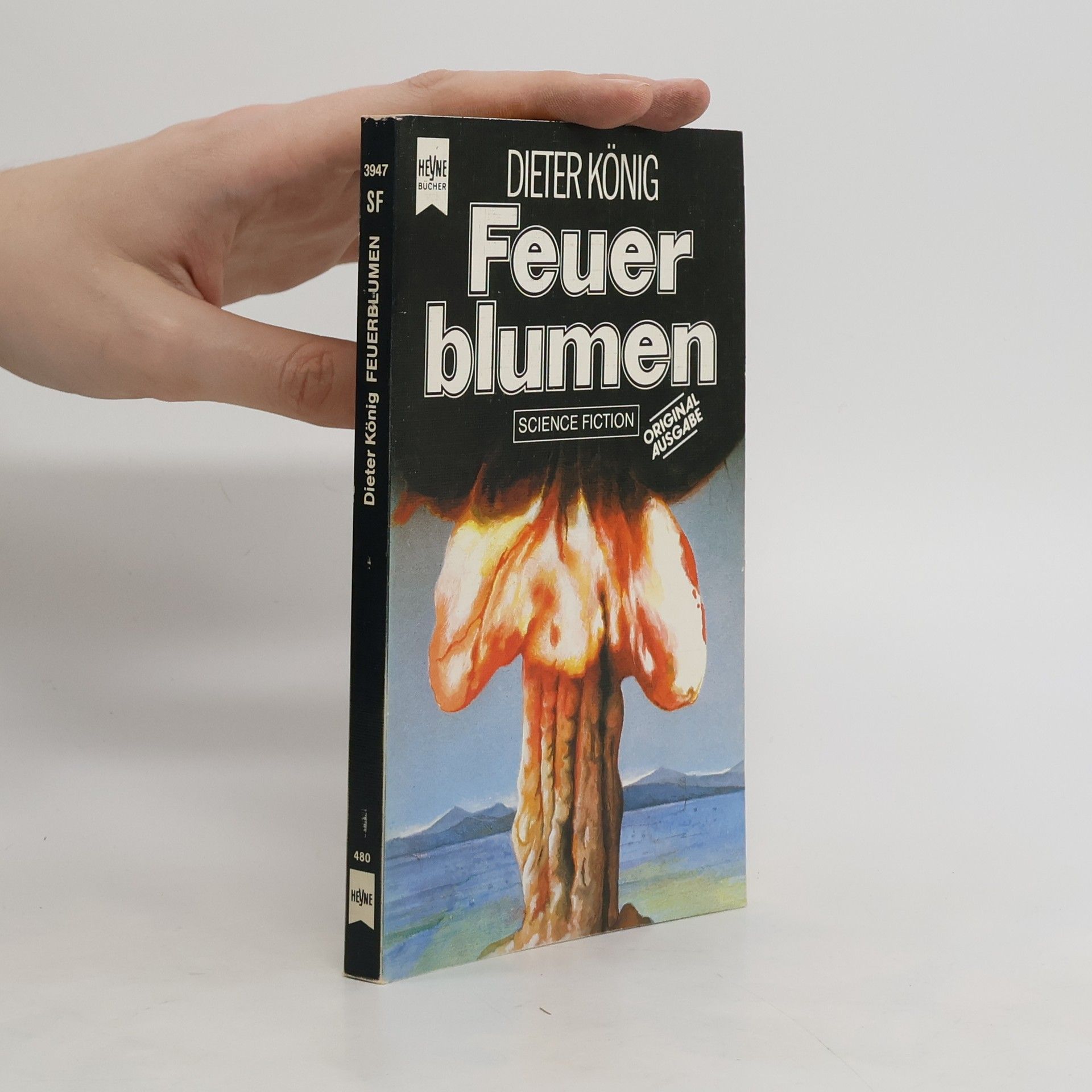 Dieter König Feuerblumen