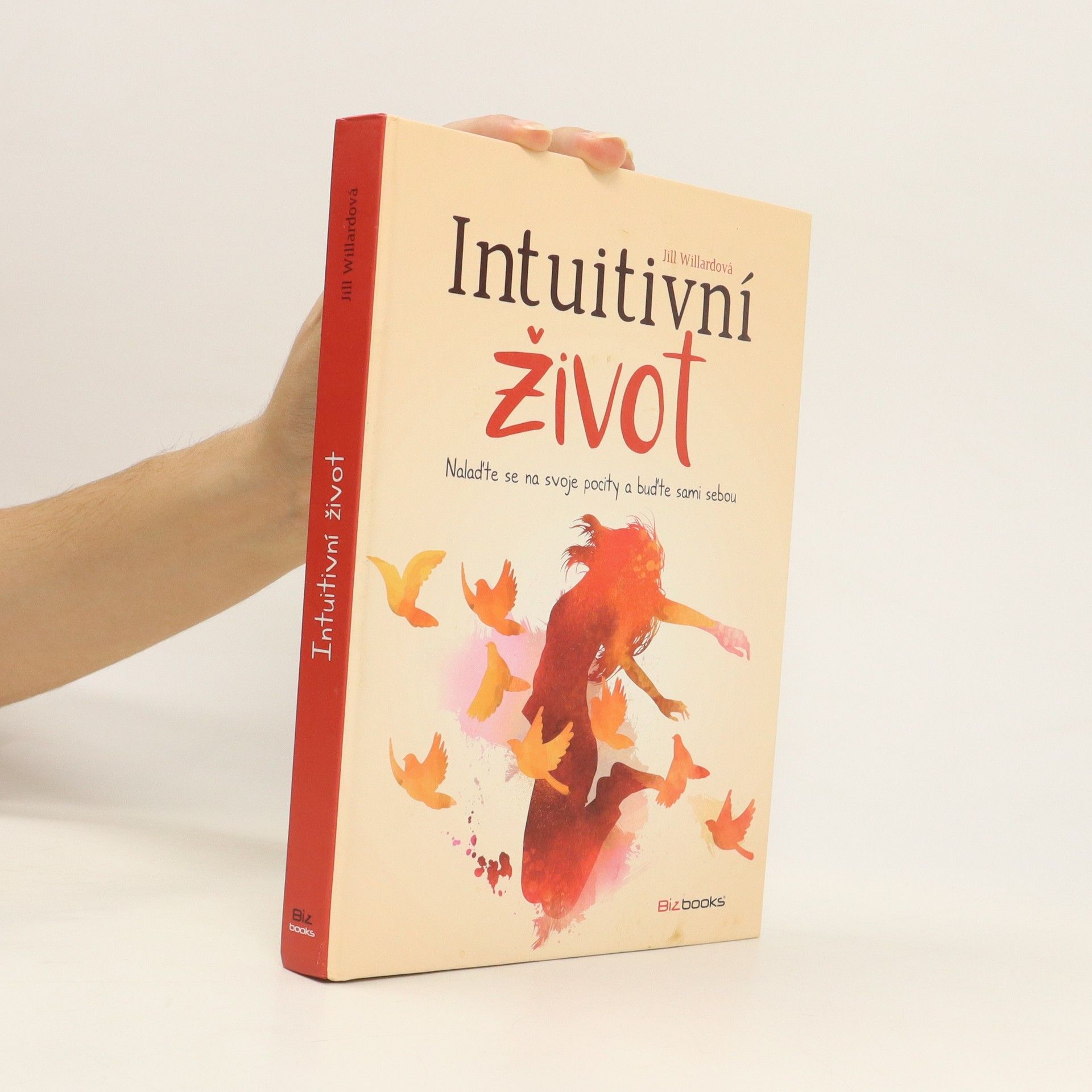 Jill Willard Intuitivní život: Nalaďte se na svou intuici a buďte sami sebou