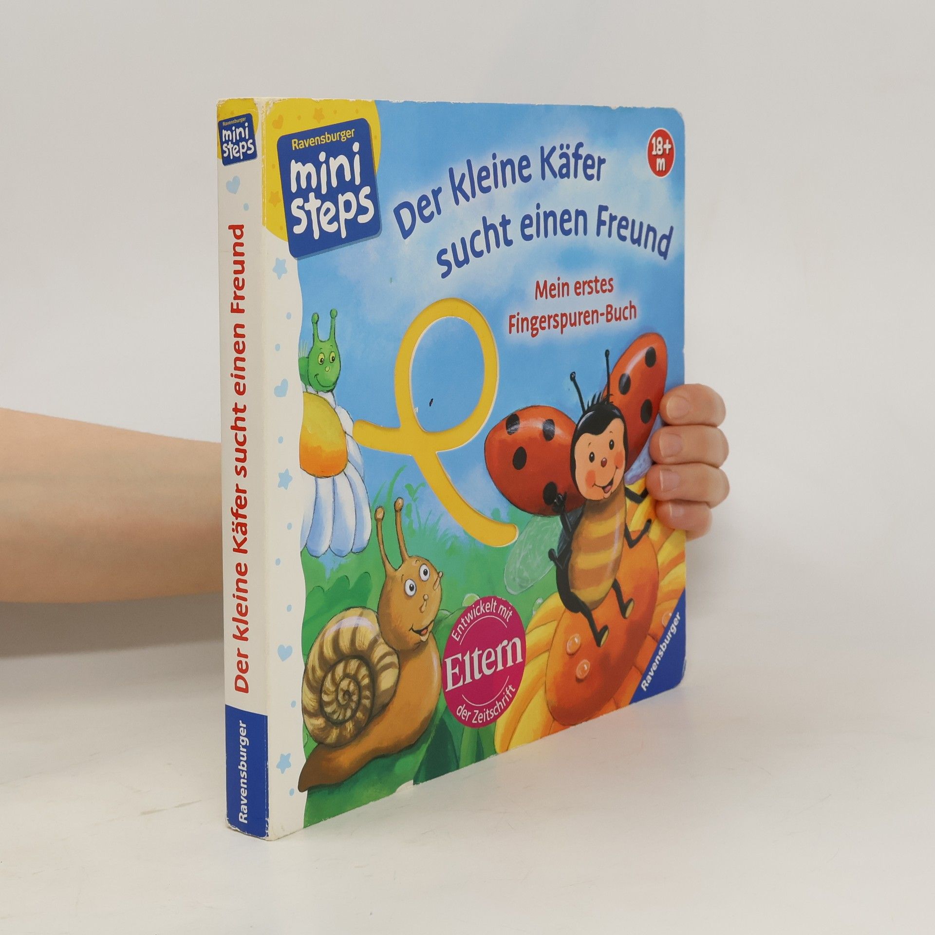 Ana Weller Der kleine Käfer sucht einen Freund