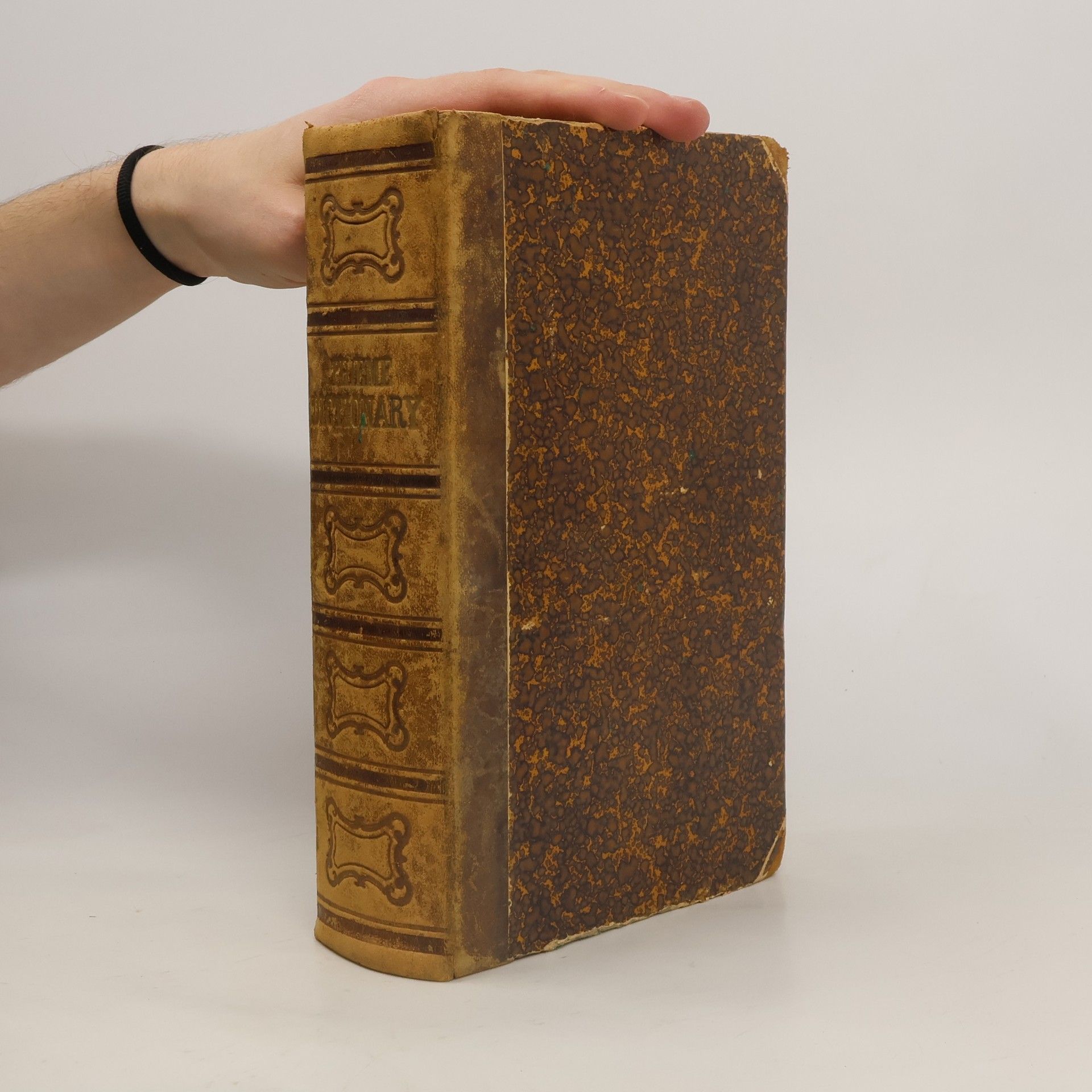 Various authors Critical Dictionary of the English and German Languages. Kritisches Wörterbuch der Englischen und Deutschen Sprache