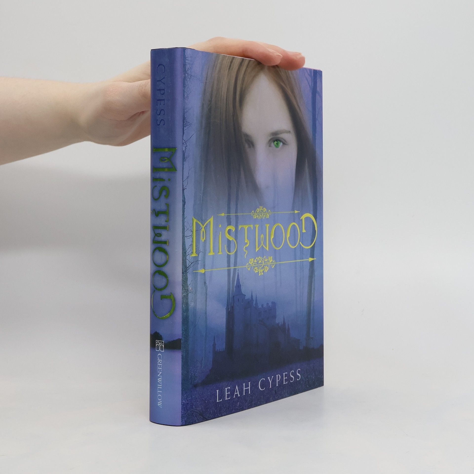 Leah Cypess Mistwood