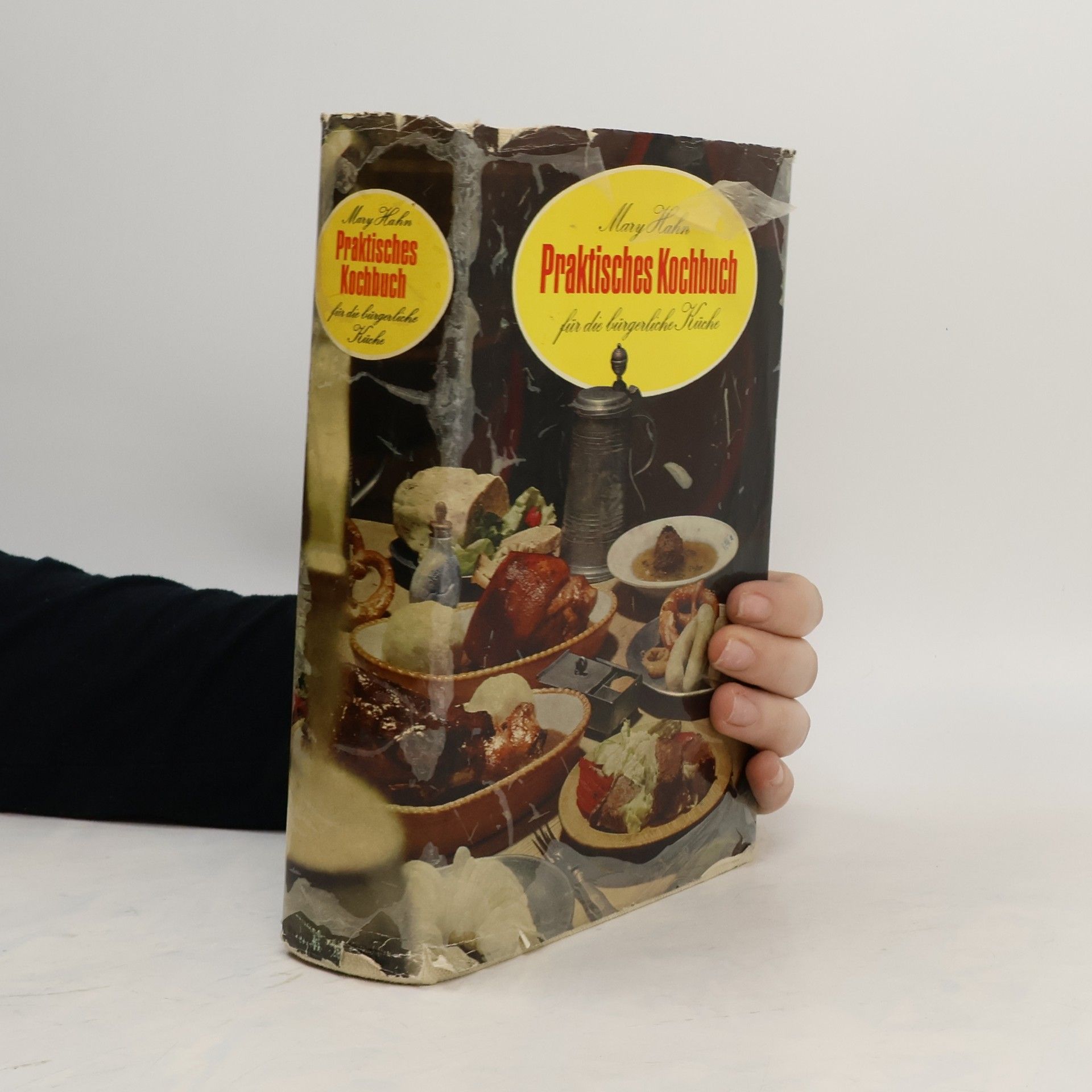 Hahn Mary Praktisches Kochbuch