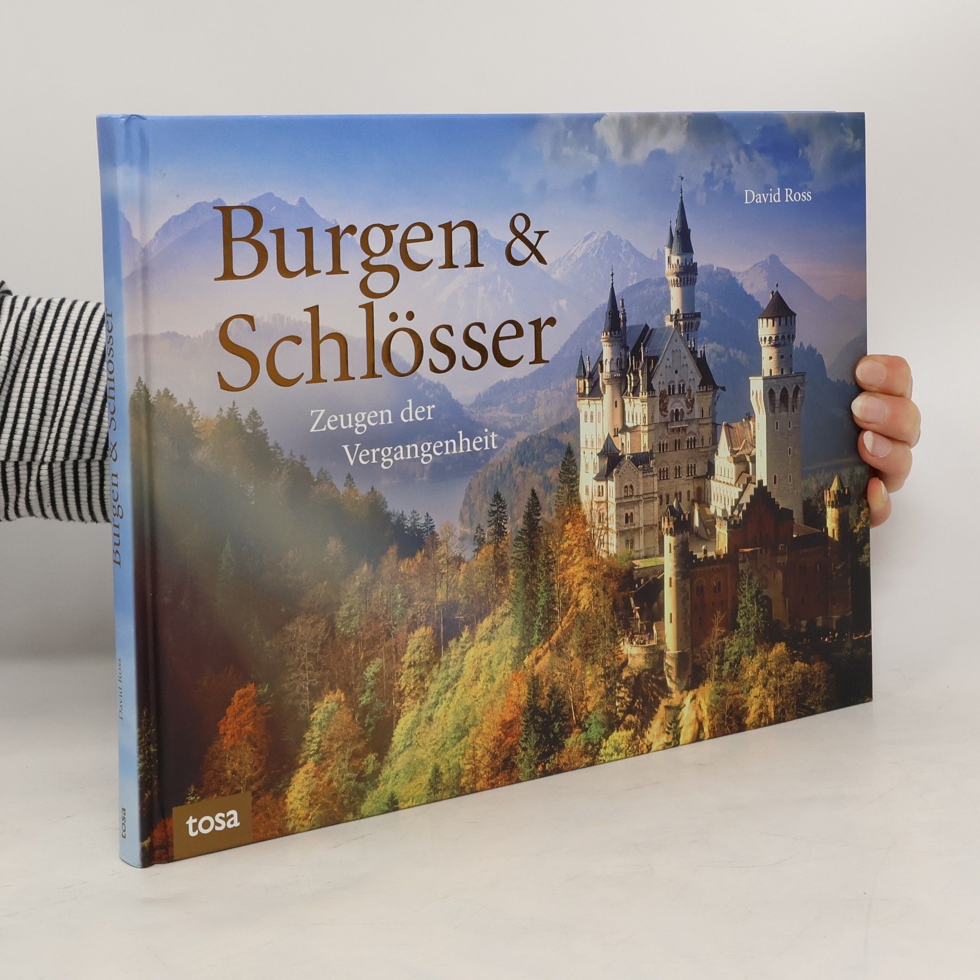 David Ross Burgen & Schlösser