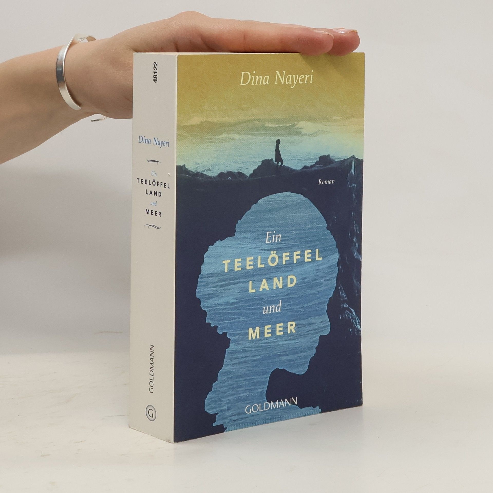 Dina Nayeri Ein Teelöffel Land und Meer