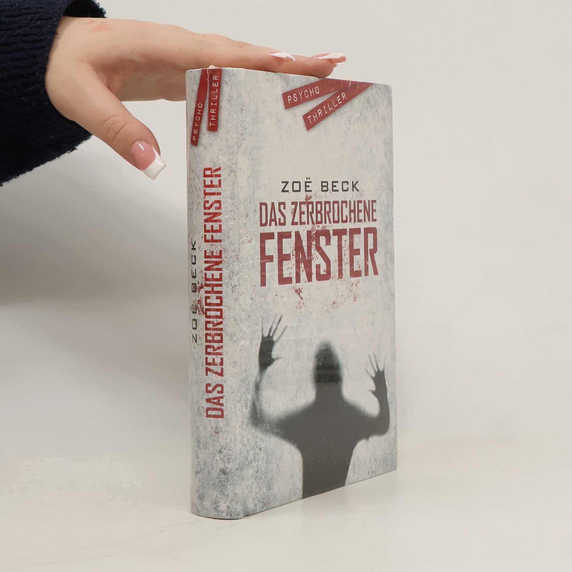 Zoë Beck Das Zerbrochene Fenster