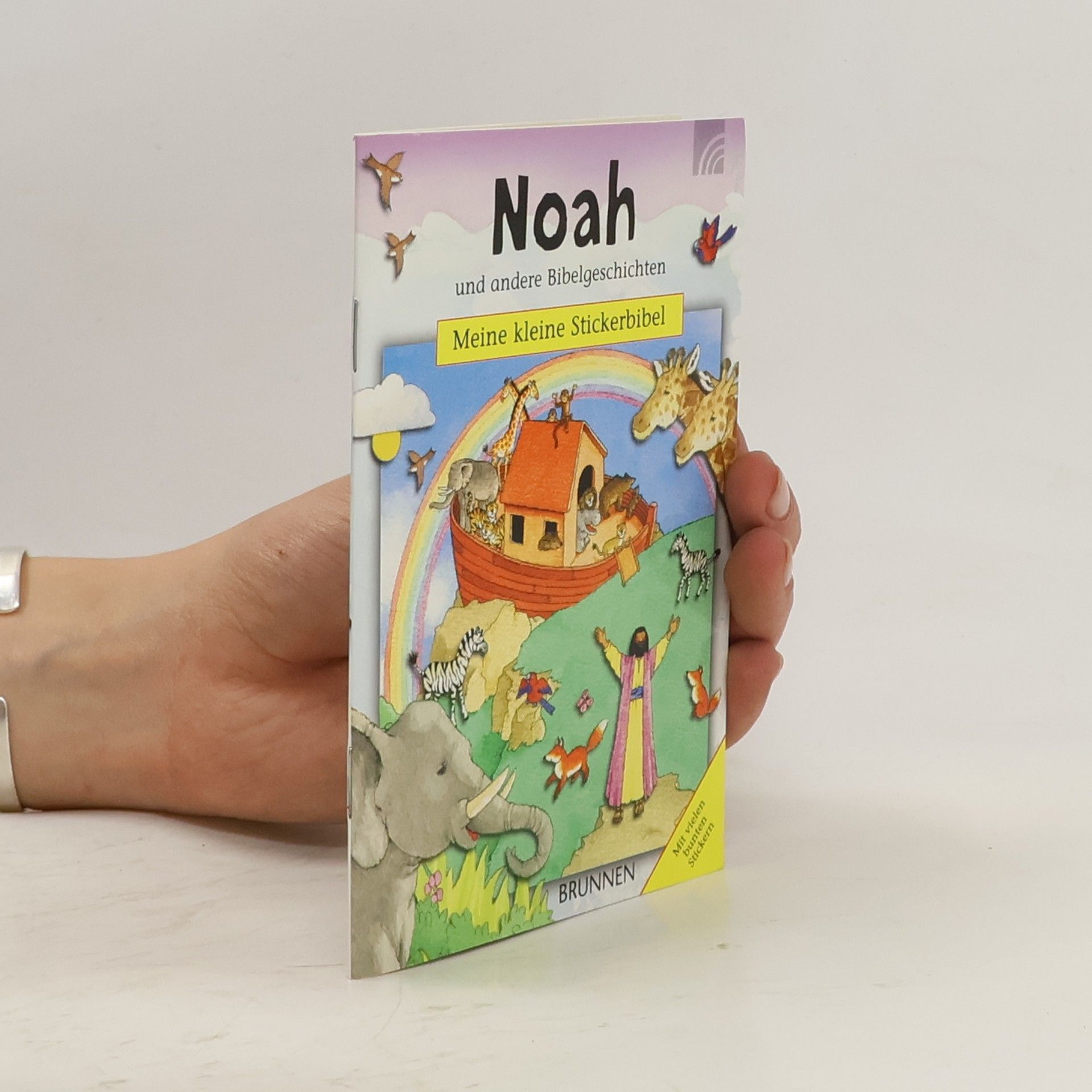 Sally Ann Wright Noah und andere Bibelgeschichten