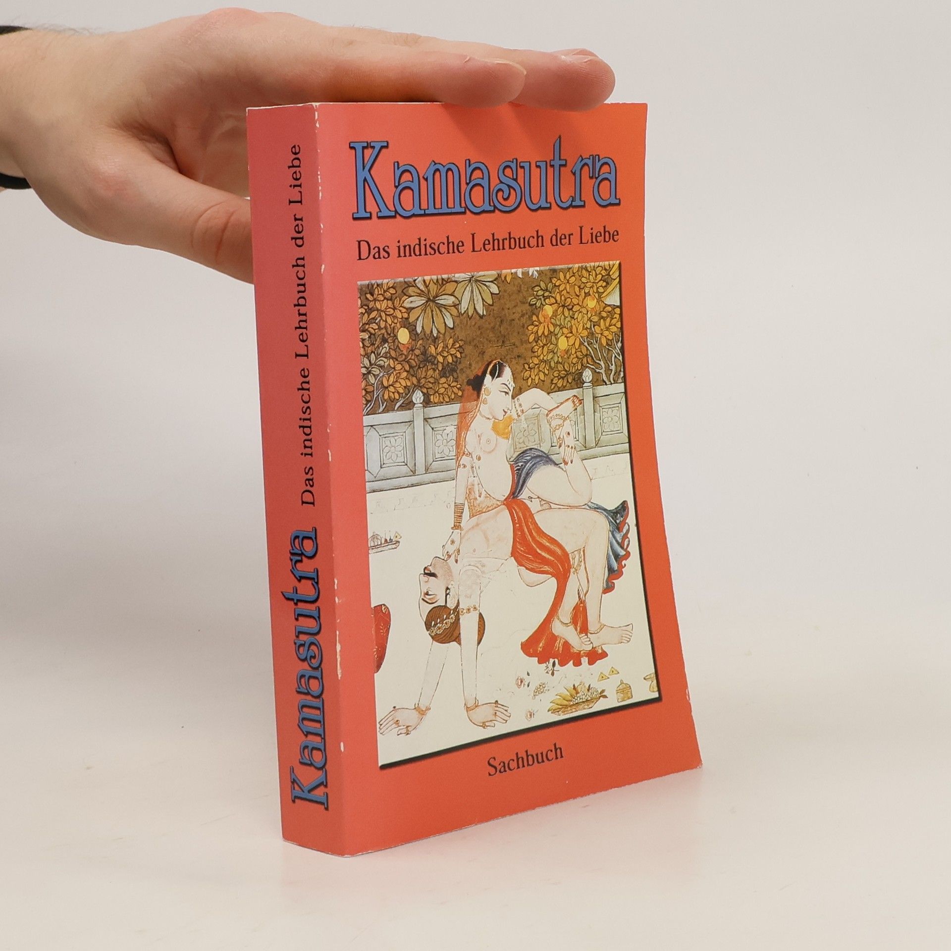 Autorenkollektiv Kamasutra