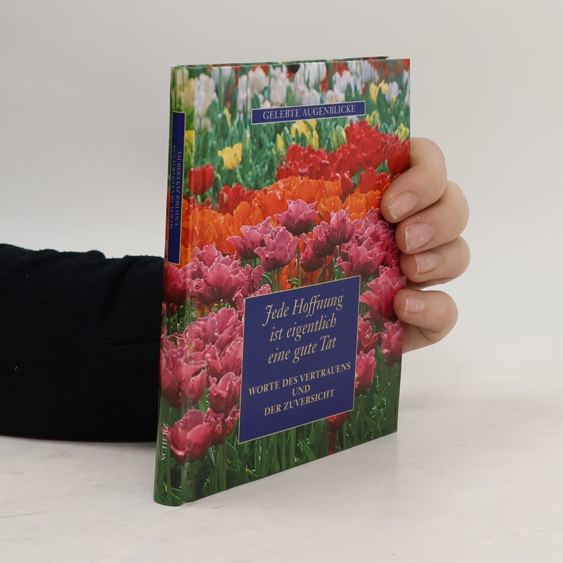 Various authors Jede Hoffnung ist eigentlich eine gute Tat