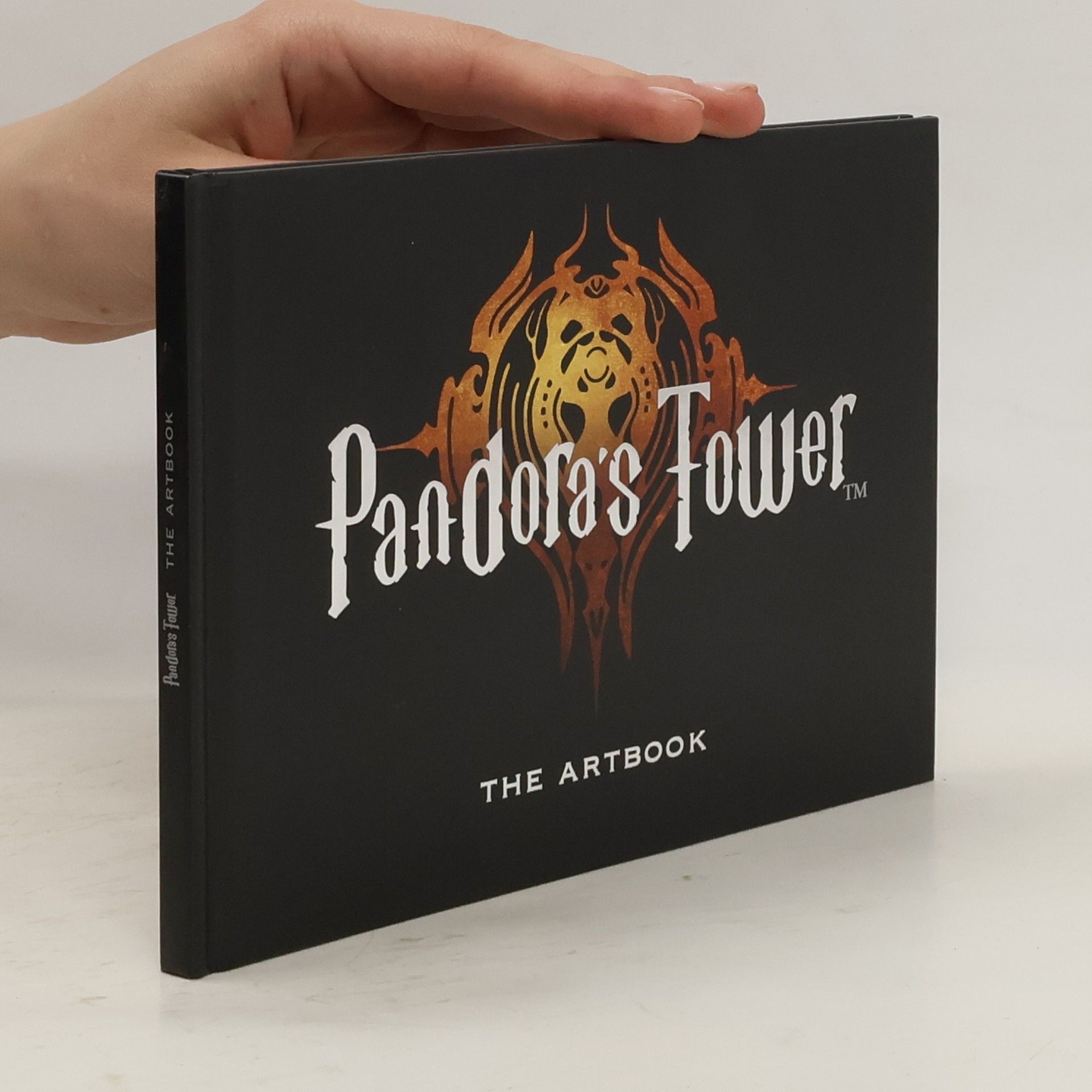 kolektiv Pandora's Tower. The Artbook