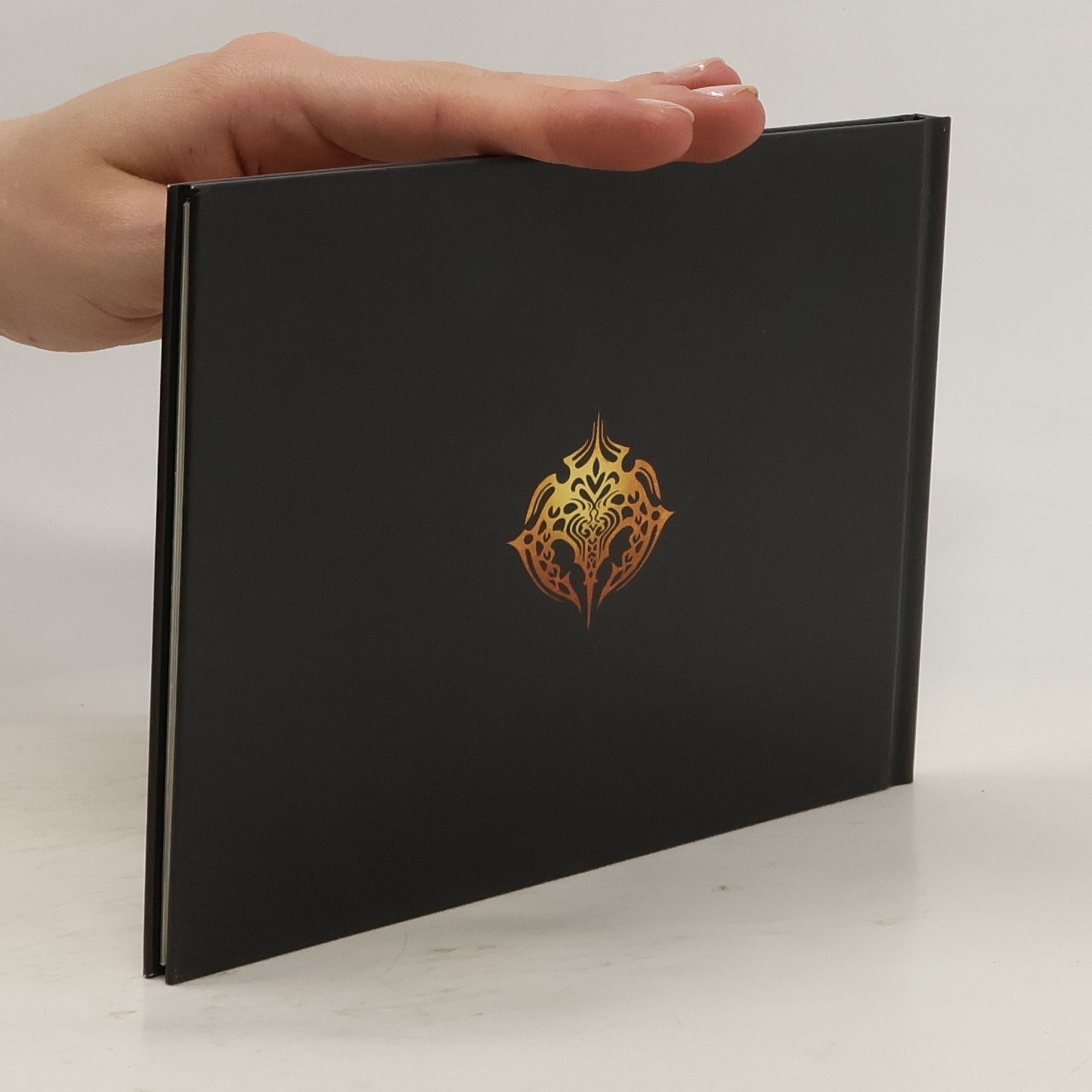 kolektiv Pandora's Tower. The Artbook