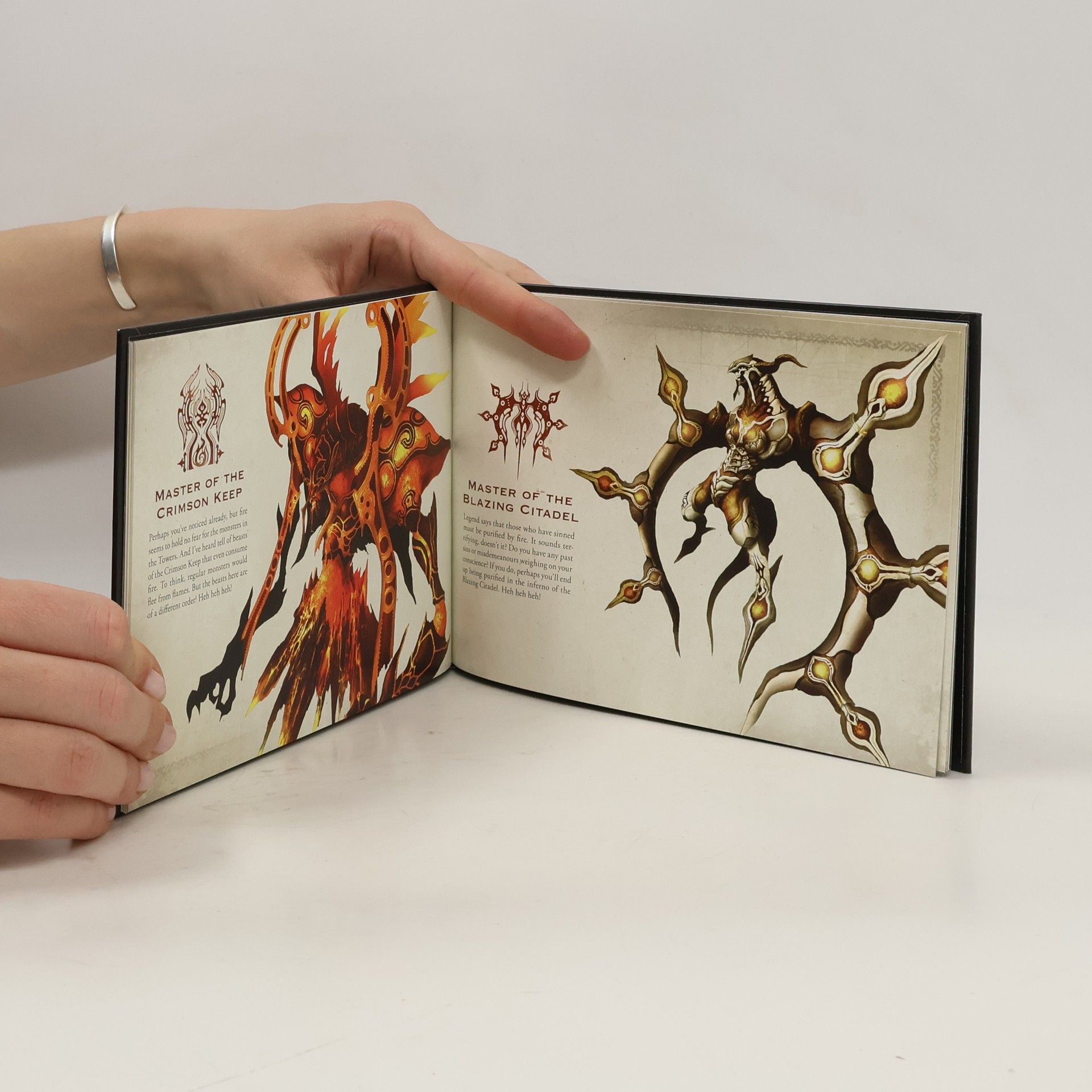 kolektiv Pandora's Tower. The Artbook