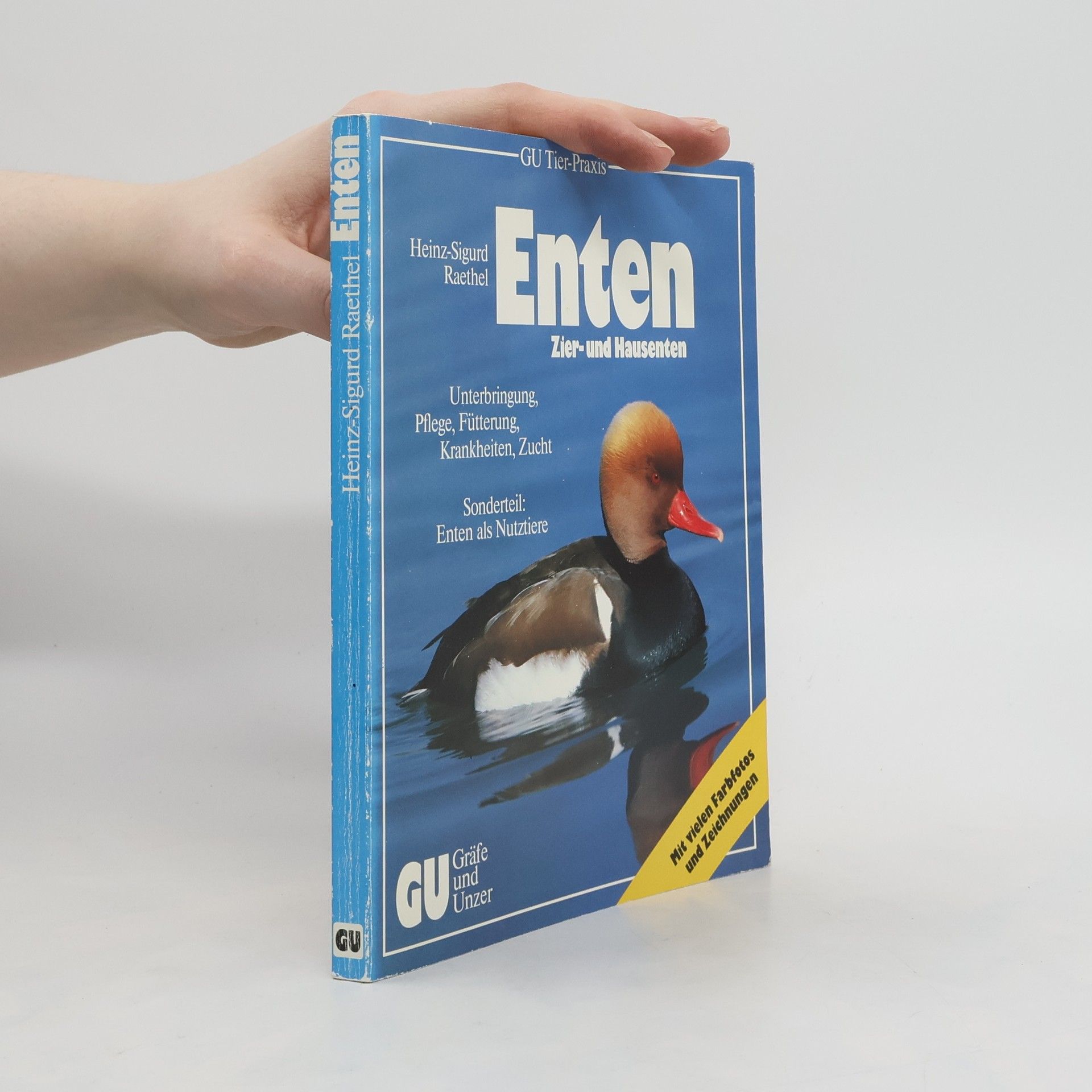 Heinz Sigurd Raethel Enten
