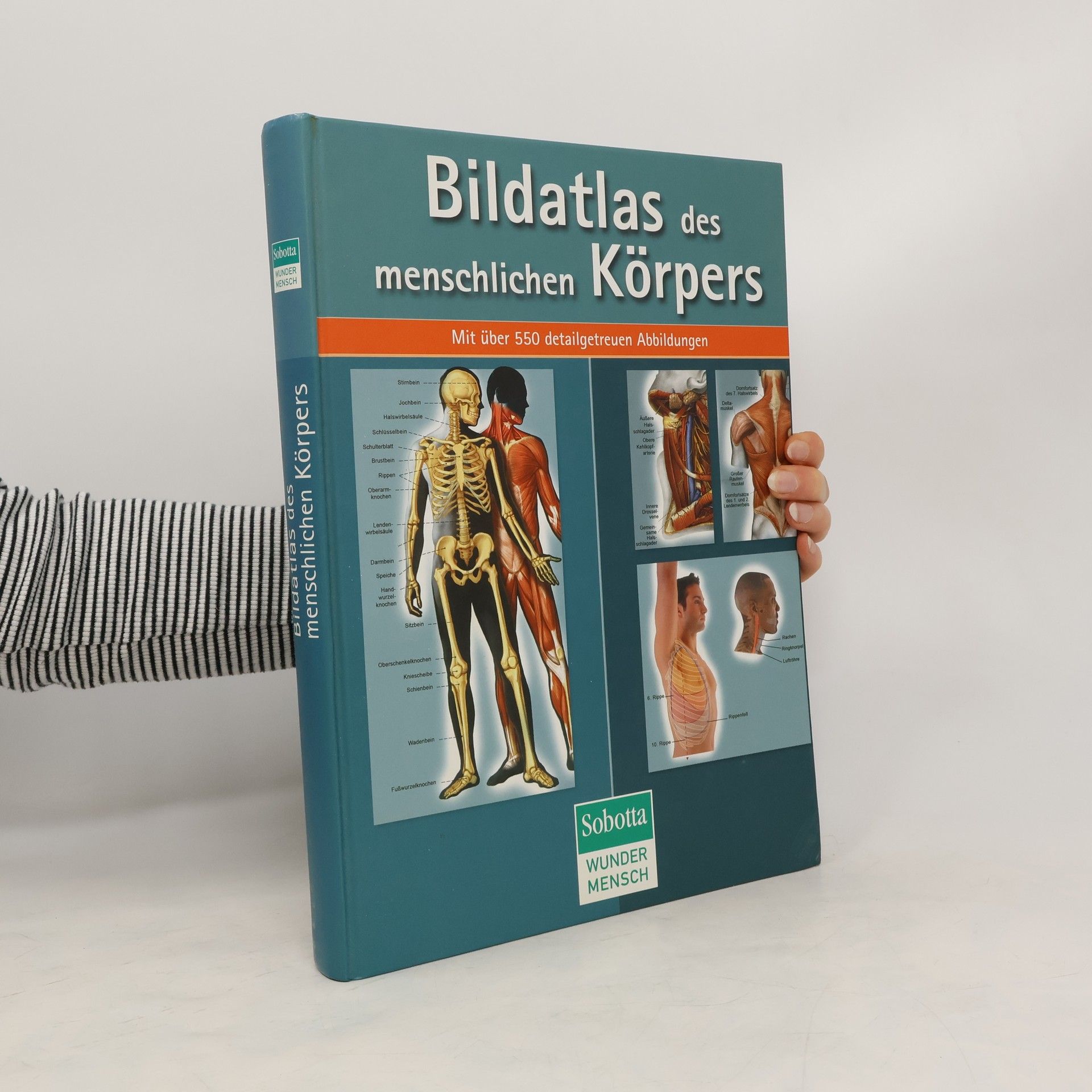 Auteurscollectief Bildatlas des menschlichen Körpers