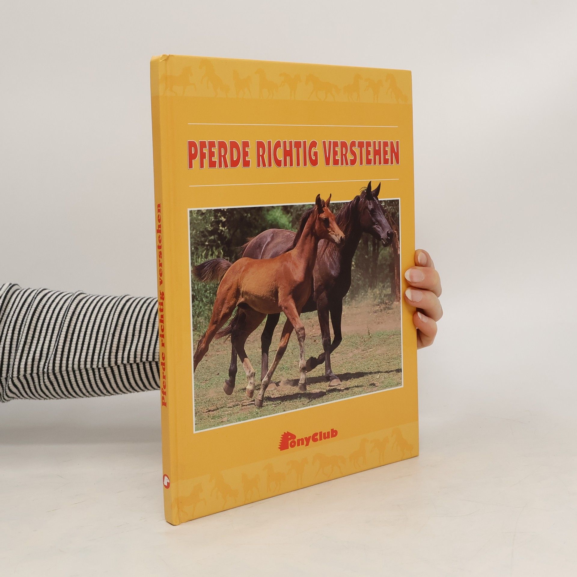 Collective Pferde richtig verstehen