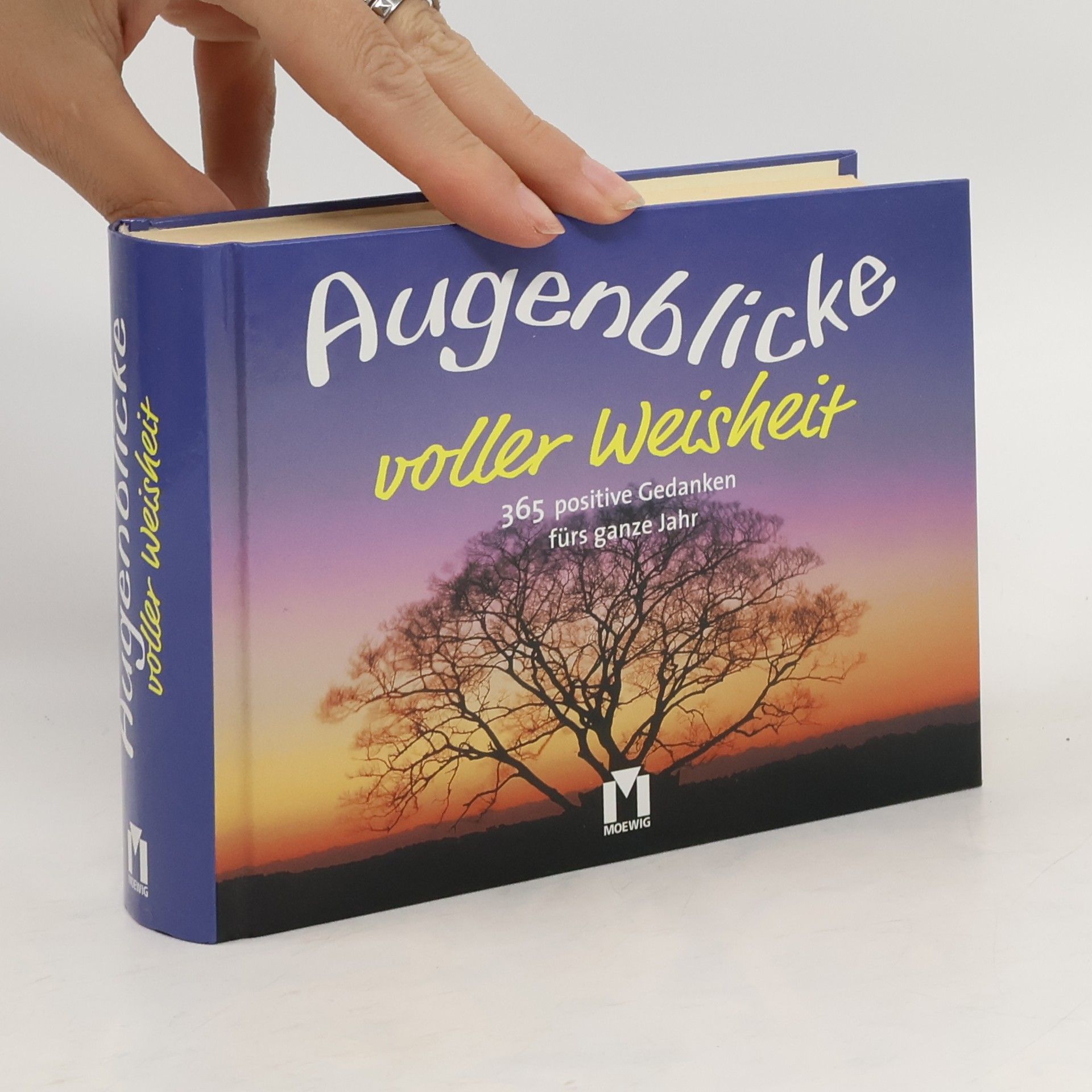 Autorenkollektiv Augenblicke voller Weisheit