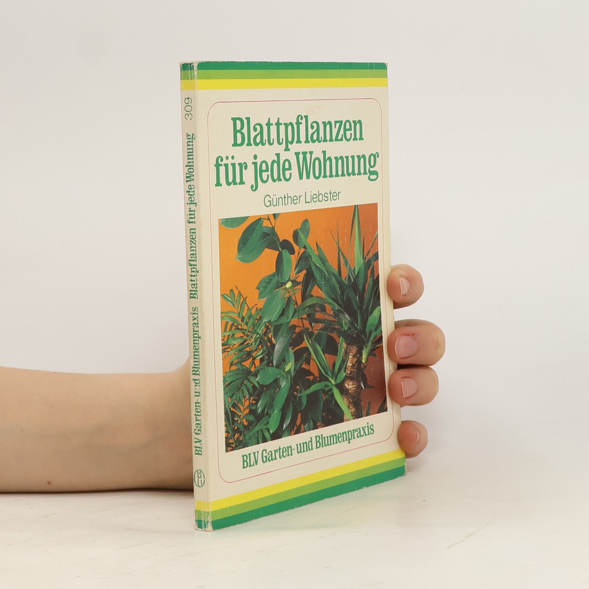 Günther Liebster Blattpflanzen für jede Wohnung