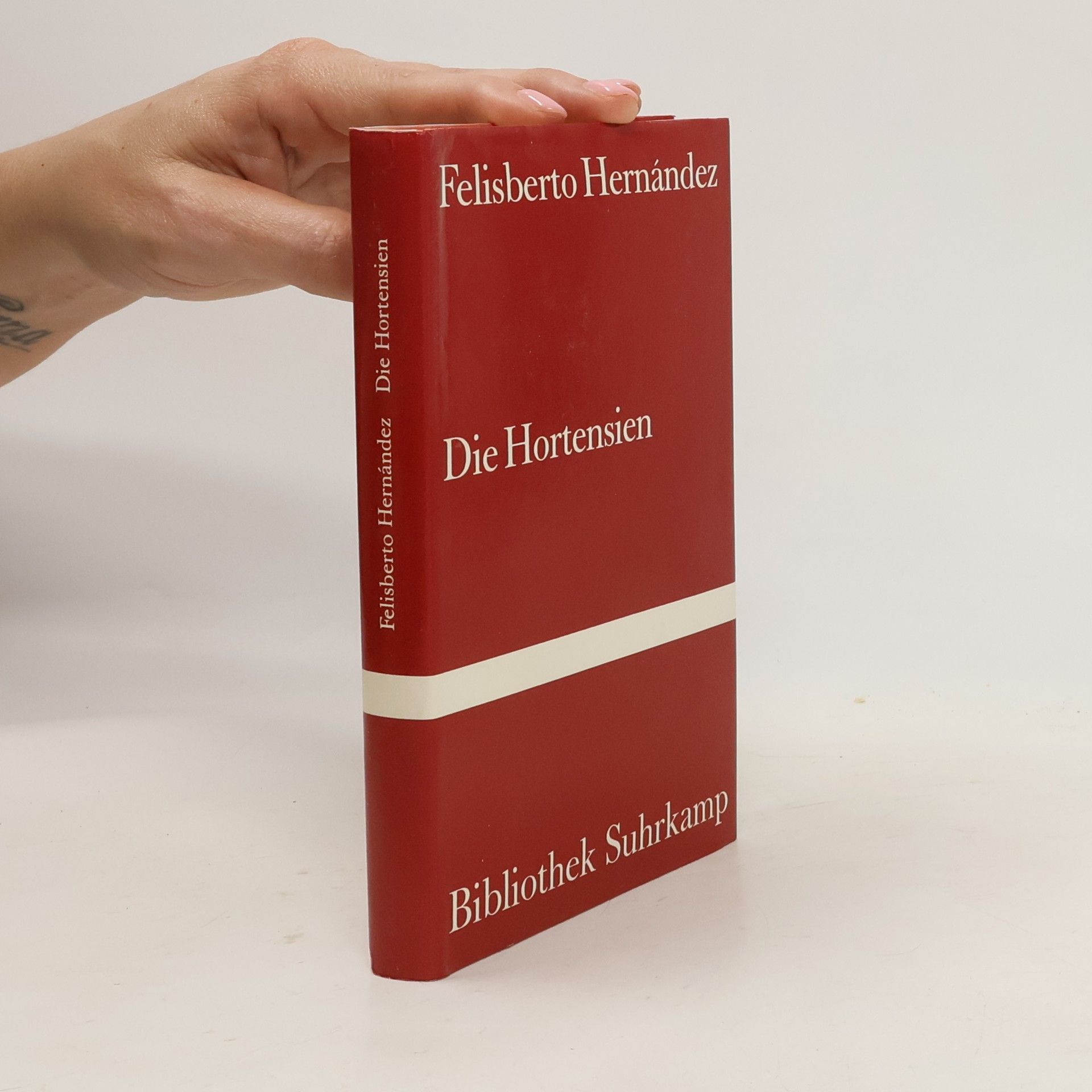 Felisberto Hernández Die Hortensien