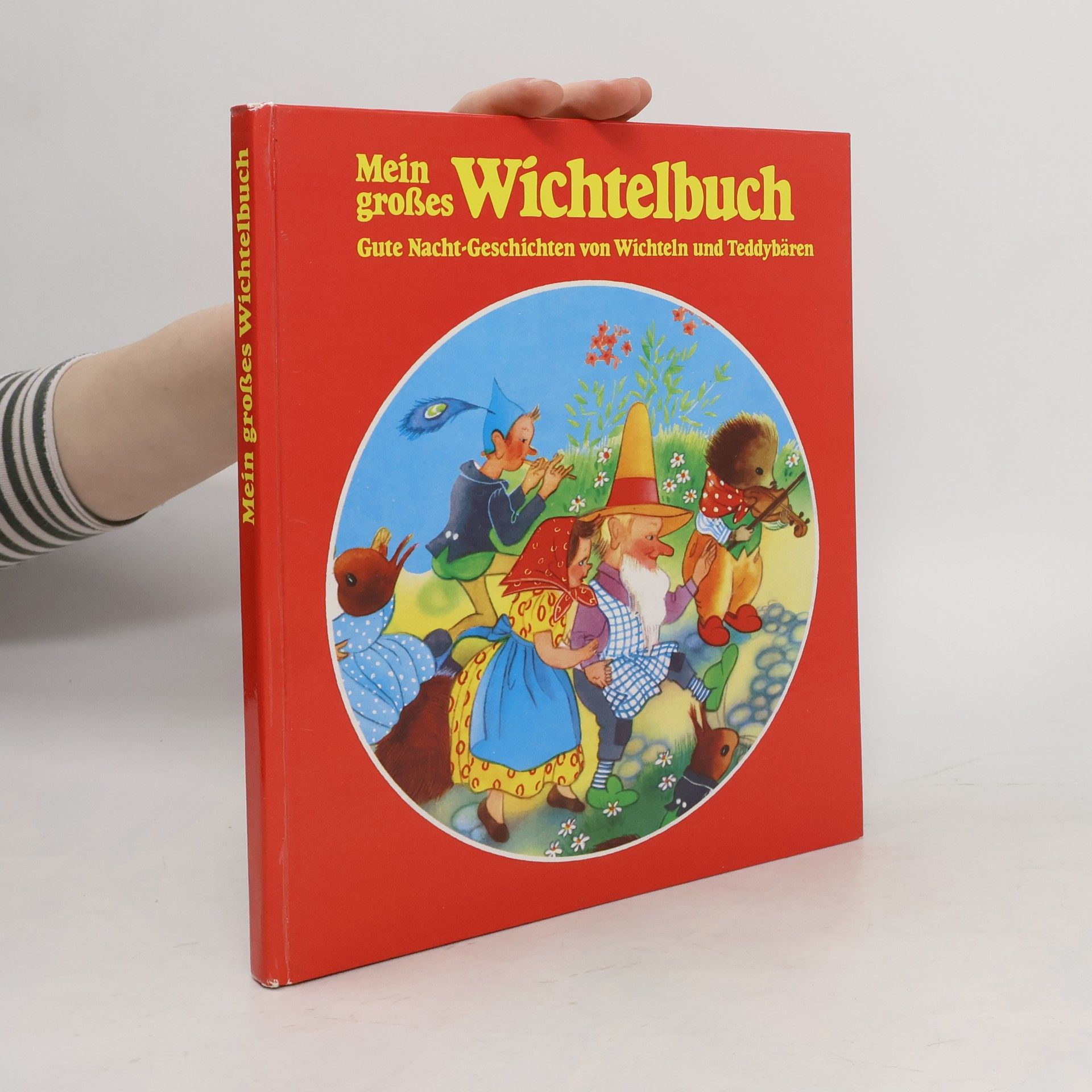 Autorenkollektiv Mein große Wichtelbuch