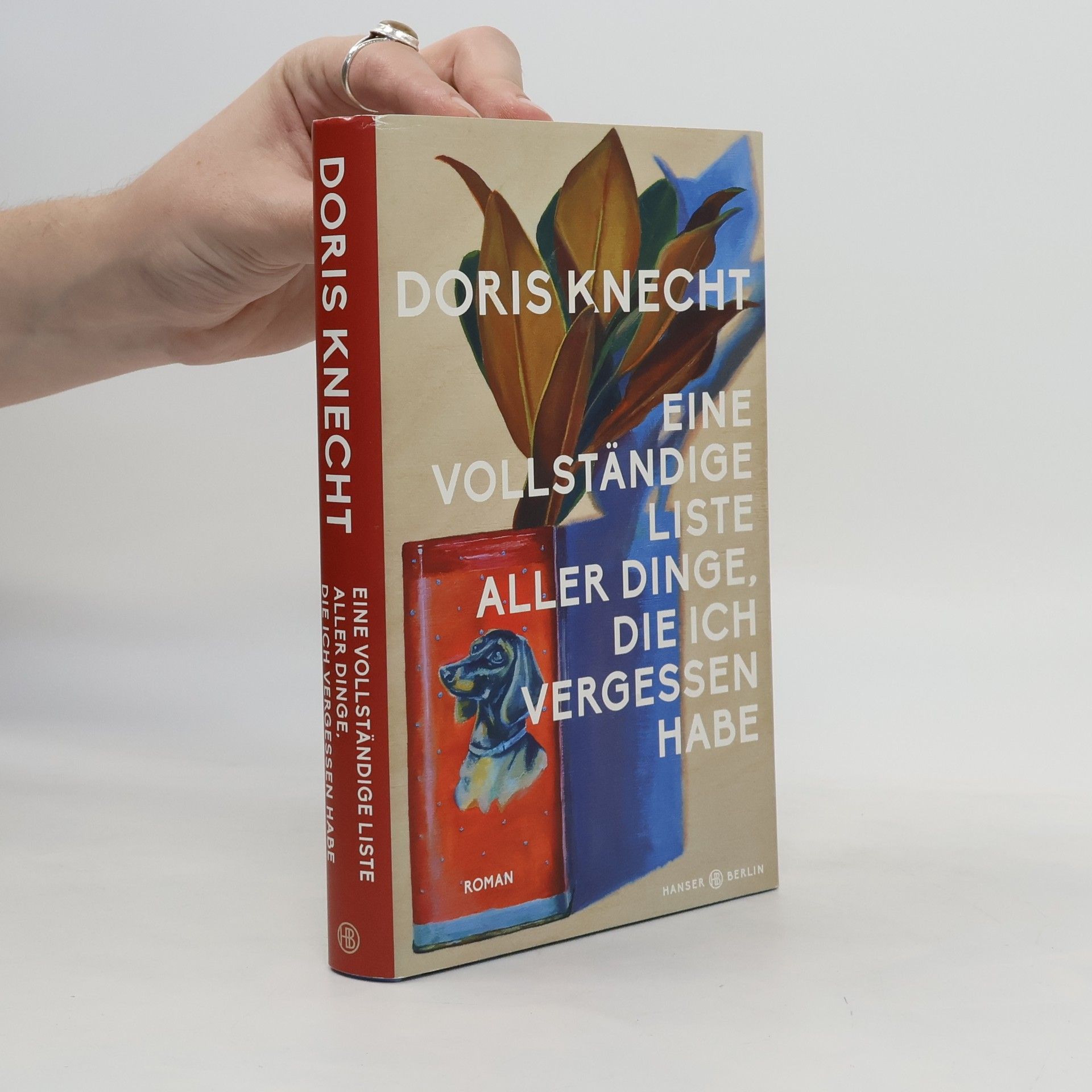 Doris Knecht Eine vollständige Liste aller Dinge, die ich vergessen habe
